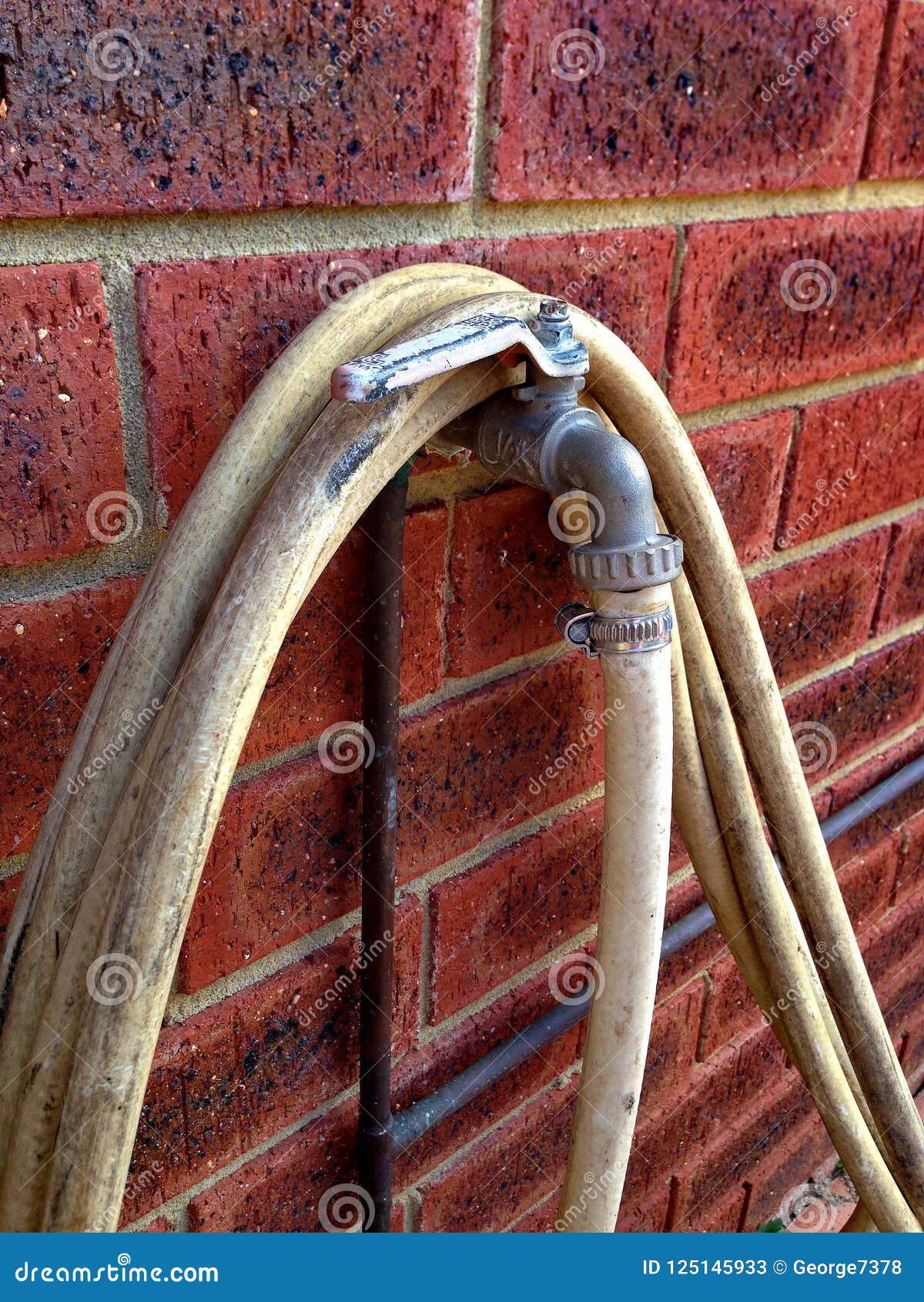 Шланг сада обернутый вокруг крана на кирпичной стене Стоковое ...