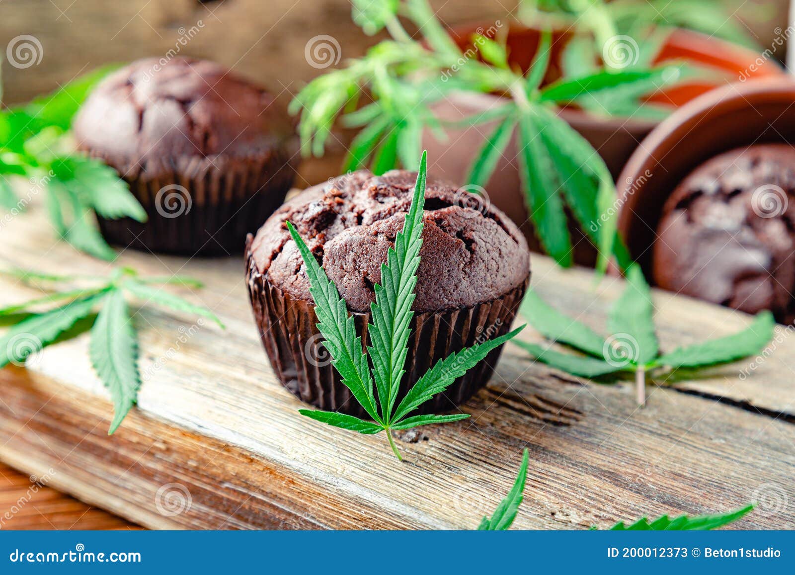 Как делать кексы с марихуаной сбор семян канабиса