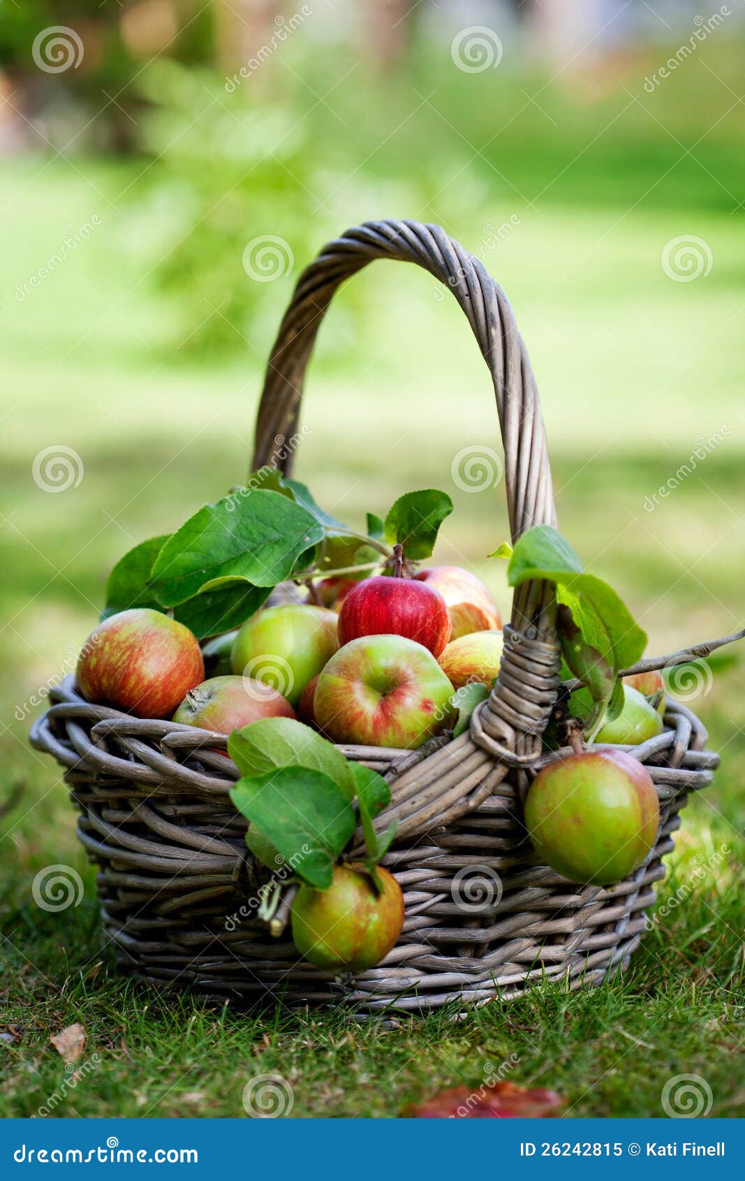 Корзины с яблоками
