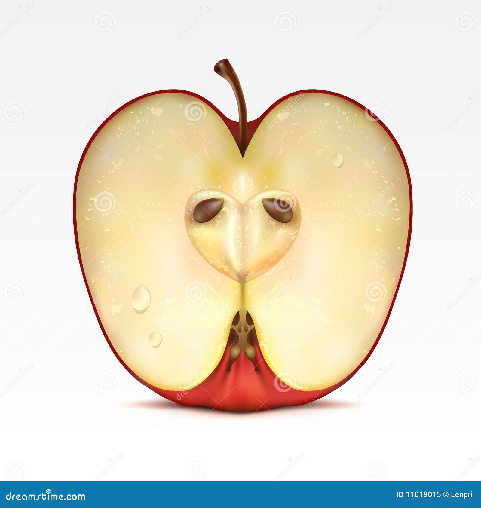Белое яблоко в разрезе