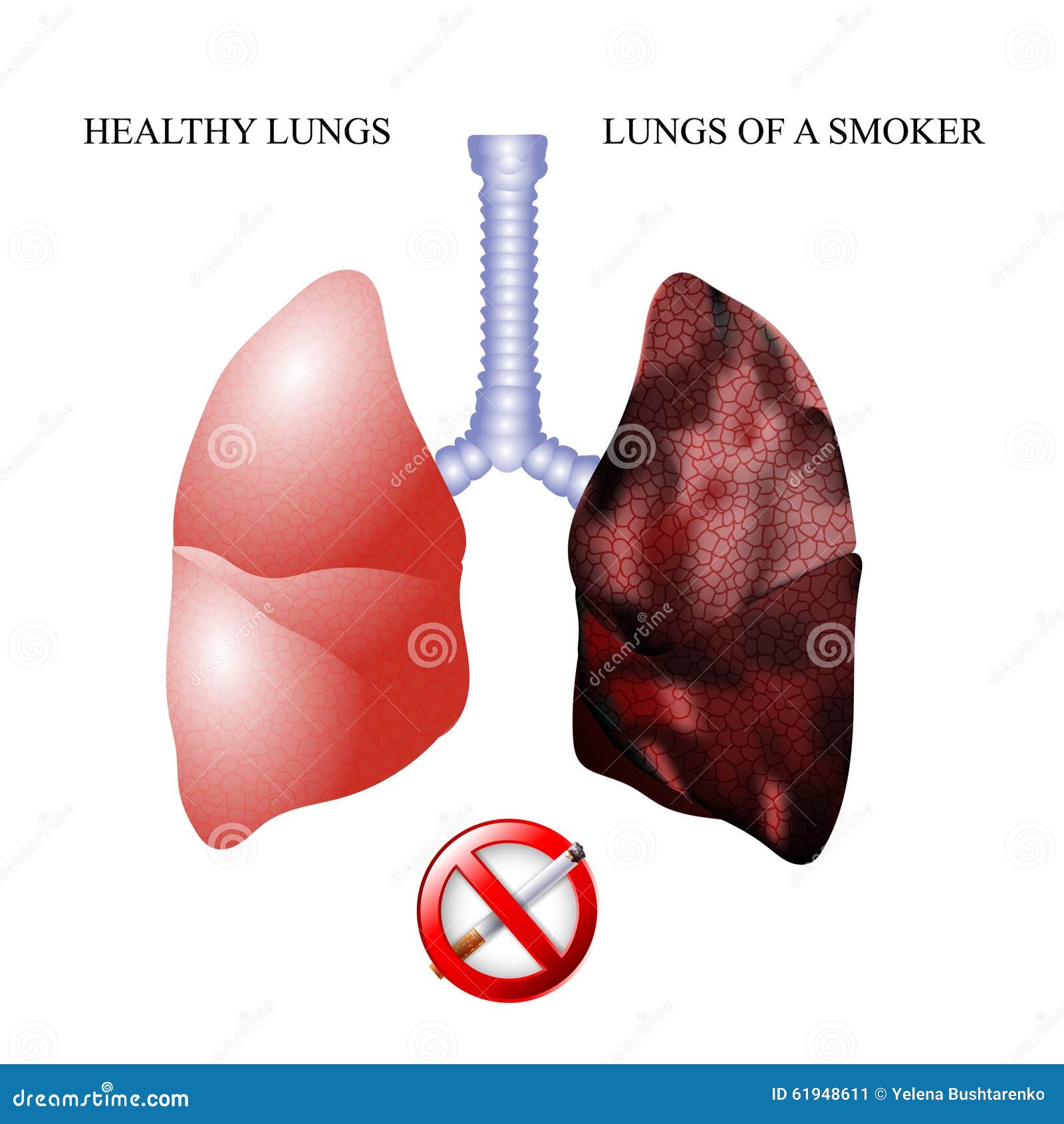 长期抽烟的人，若身体出现这3个表现，多半肺已受损，一定要重视！_凤凰网健康_凤凰网