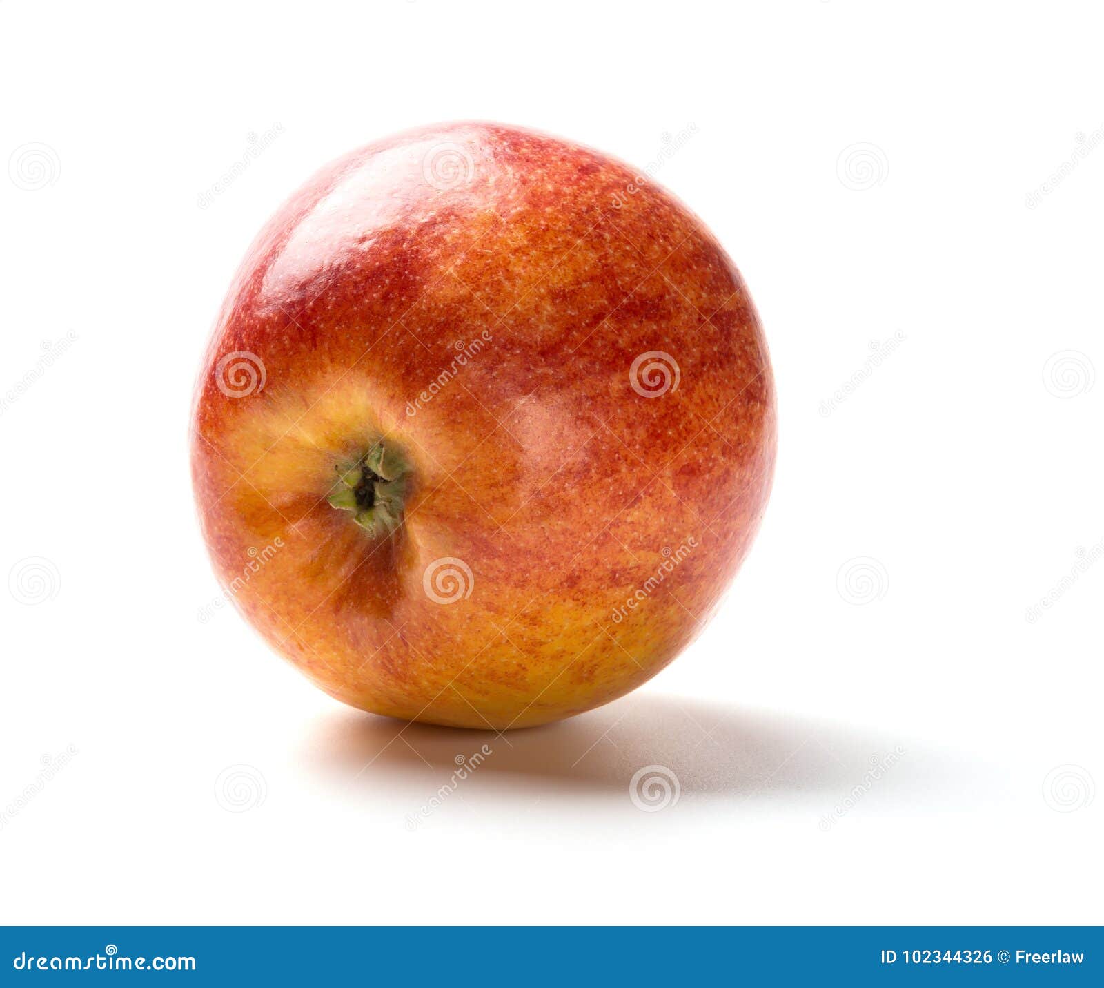 一个新鲜的苹果的底部在白色背景的 库存照片. 图片 包括有 ç¶é¢ˆ, æ ¥å›ž, é£ÿç‰© - 102344326