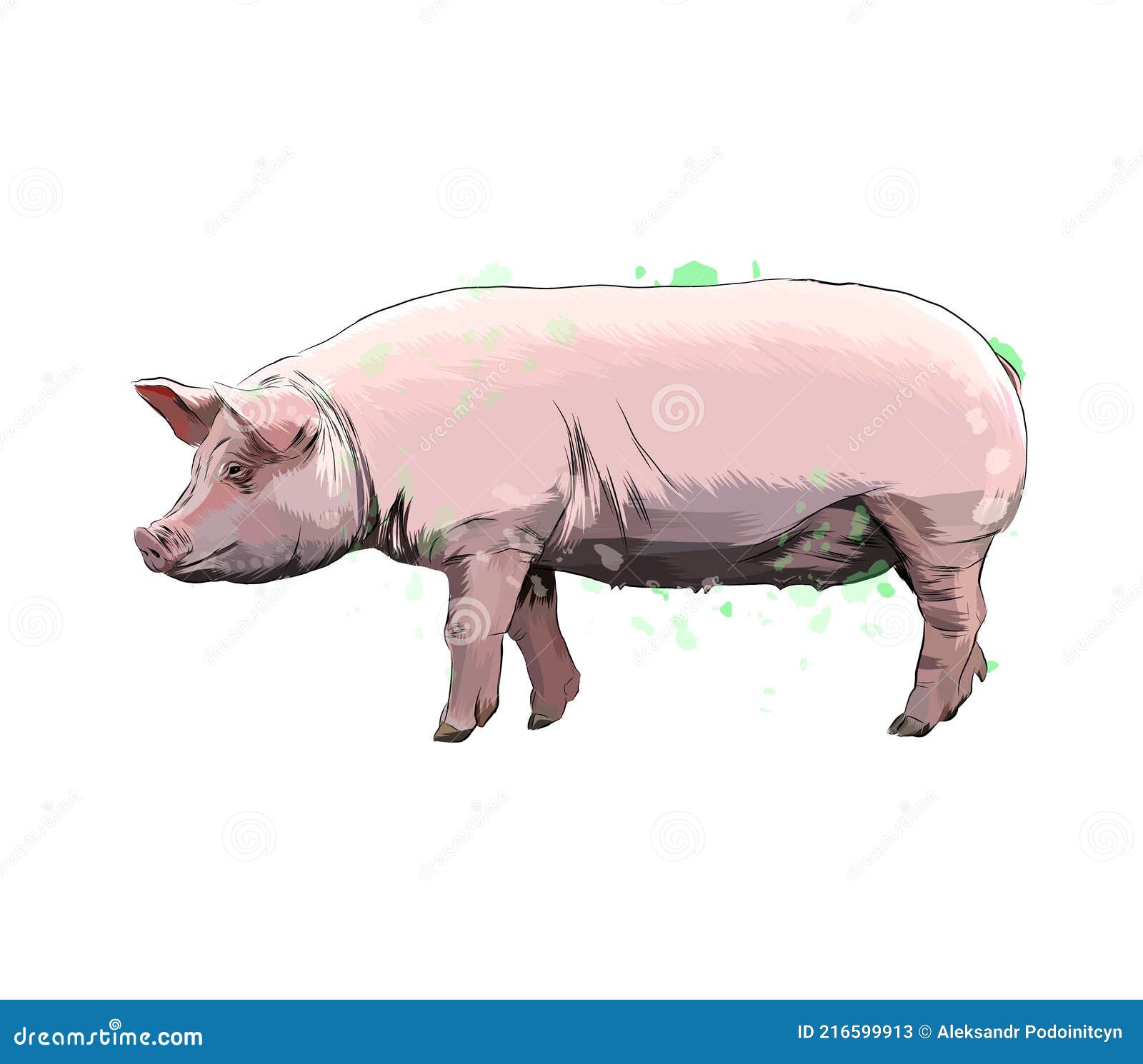 在水彩风格的猪野生动物隔离. — 图库照片©MyStocks＃191277590