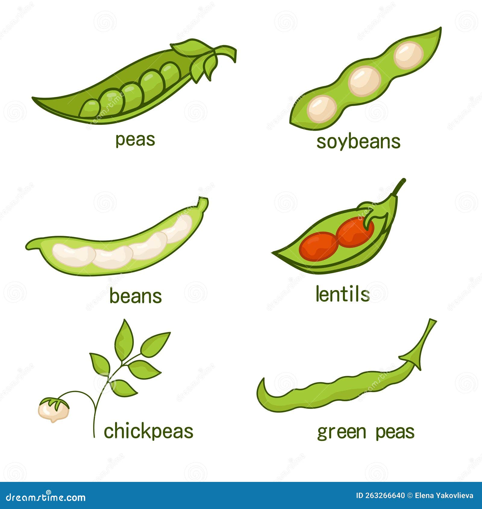 Soybeans Clipart Black And White