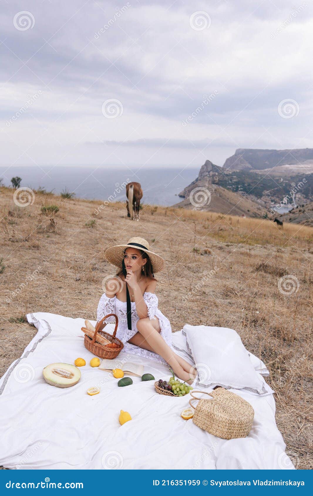 一身优雅、穿着与山景野餐的金发美女 库存照片. 图片 包括有 样式, 女孩, 发型, 性感, 幸福, 全景 - 216352010