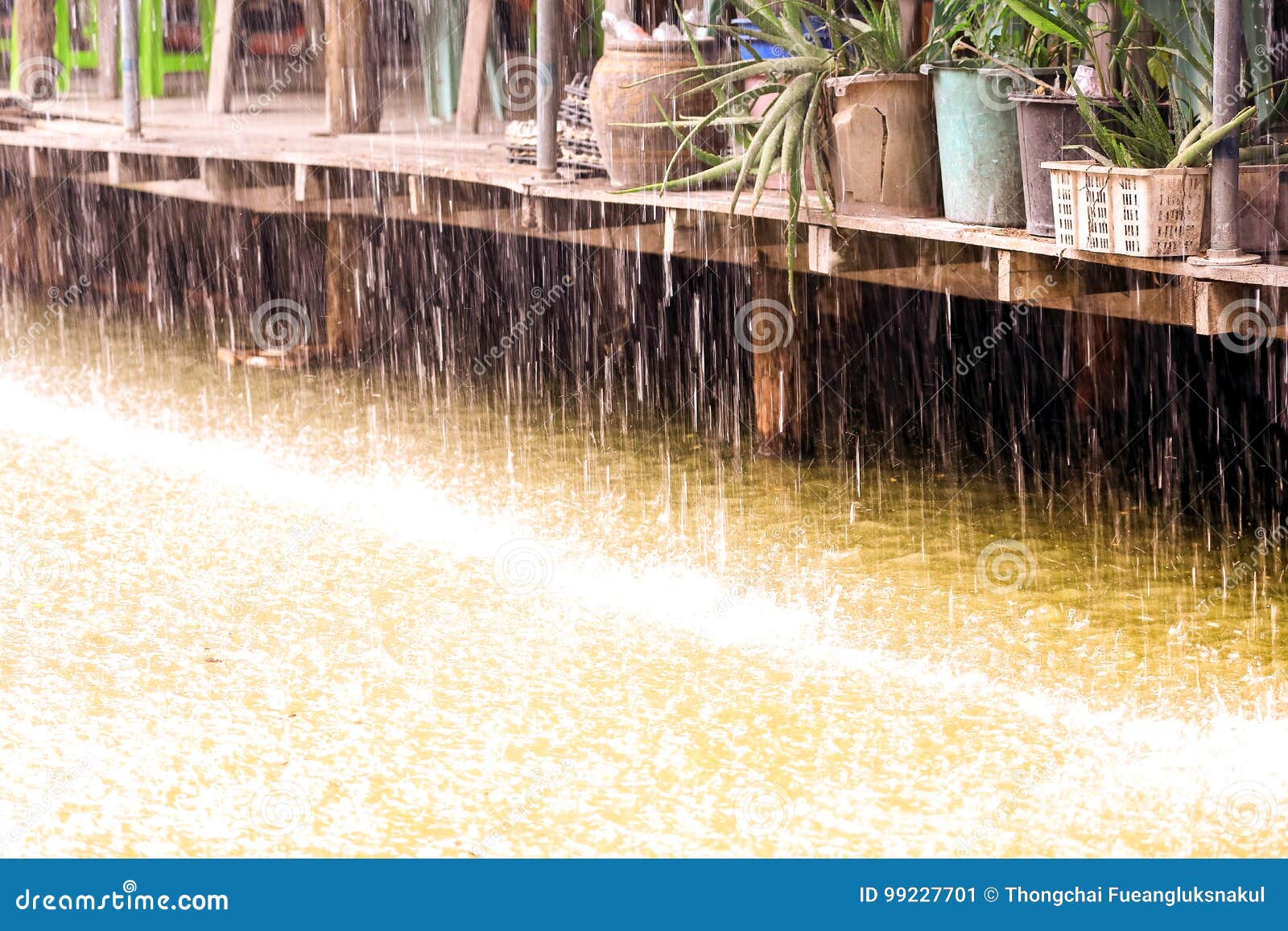 下雨下落在与葡萄酒木家的水中运河的
