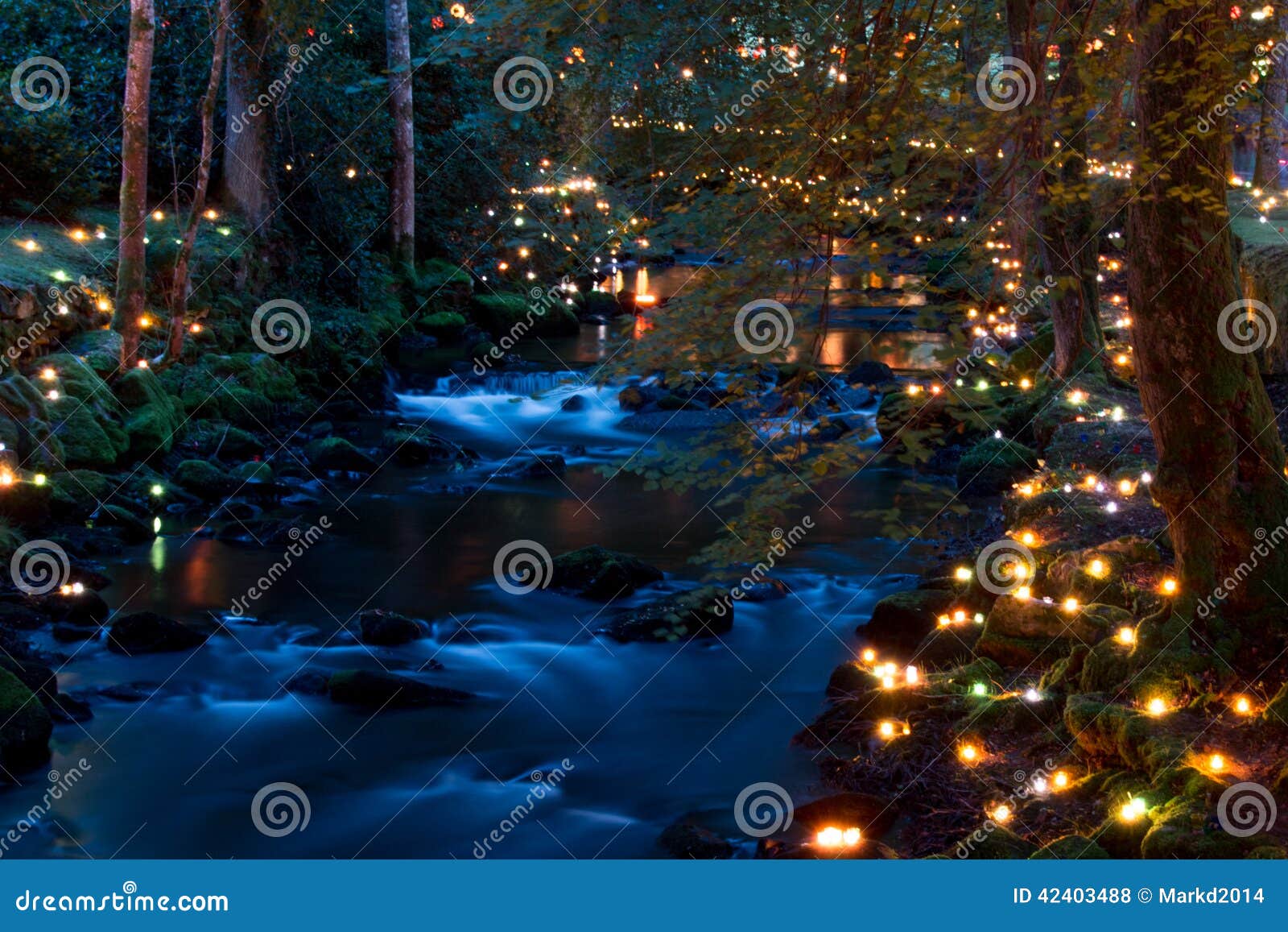 有一条河的不可思议的森林在晚上，点燃由许多蜡烛用不同的颜色