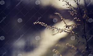  150757937