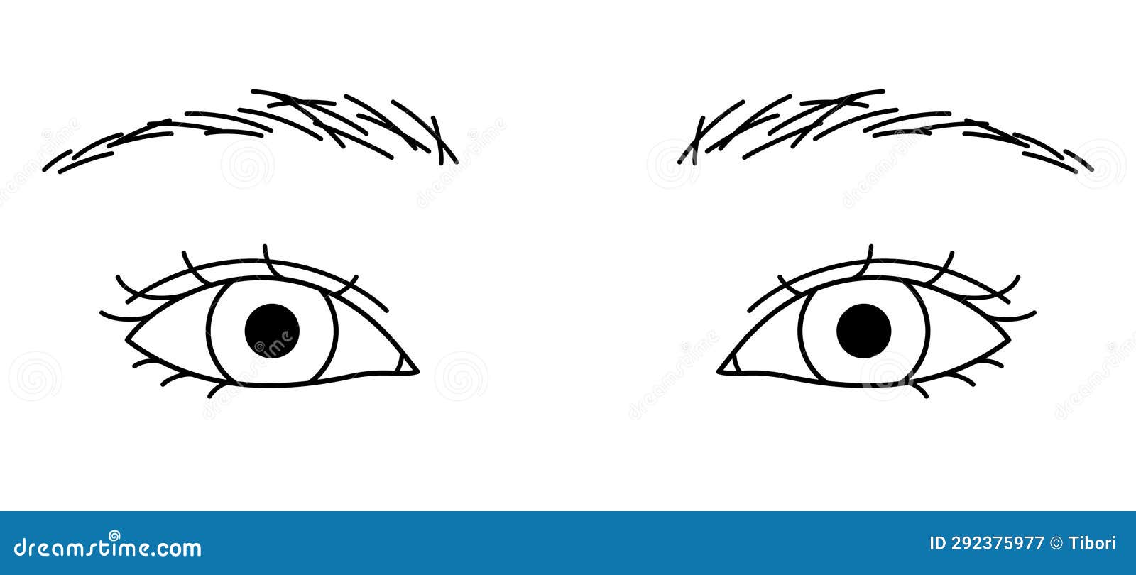 Woman Eyes, Double Eyelids, Almond Eyes, Outline Illustration Stock