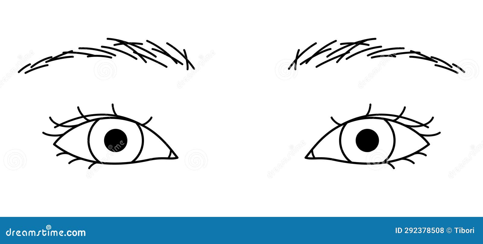 Woman Eyes, Hidden Double Eyelid, Almond Eyes, Outline Illustration