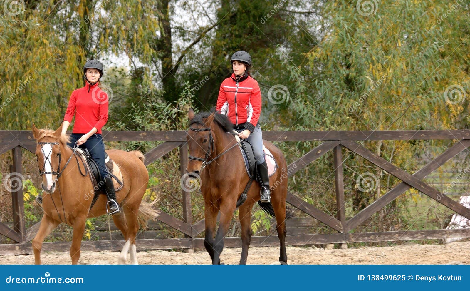 女孩训练马骑术 库存照片. 图片 包括有 上涨, 乘驾, 培训, 超越障碍马术比赛, 女孩, 小马, 孩子 - 59688636