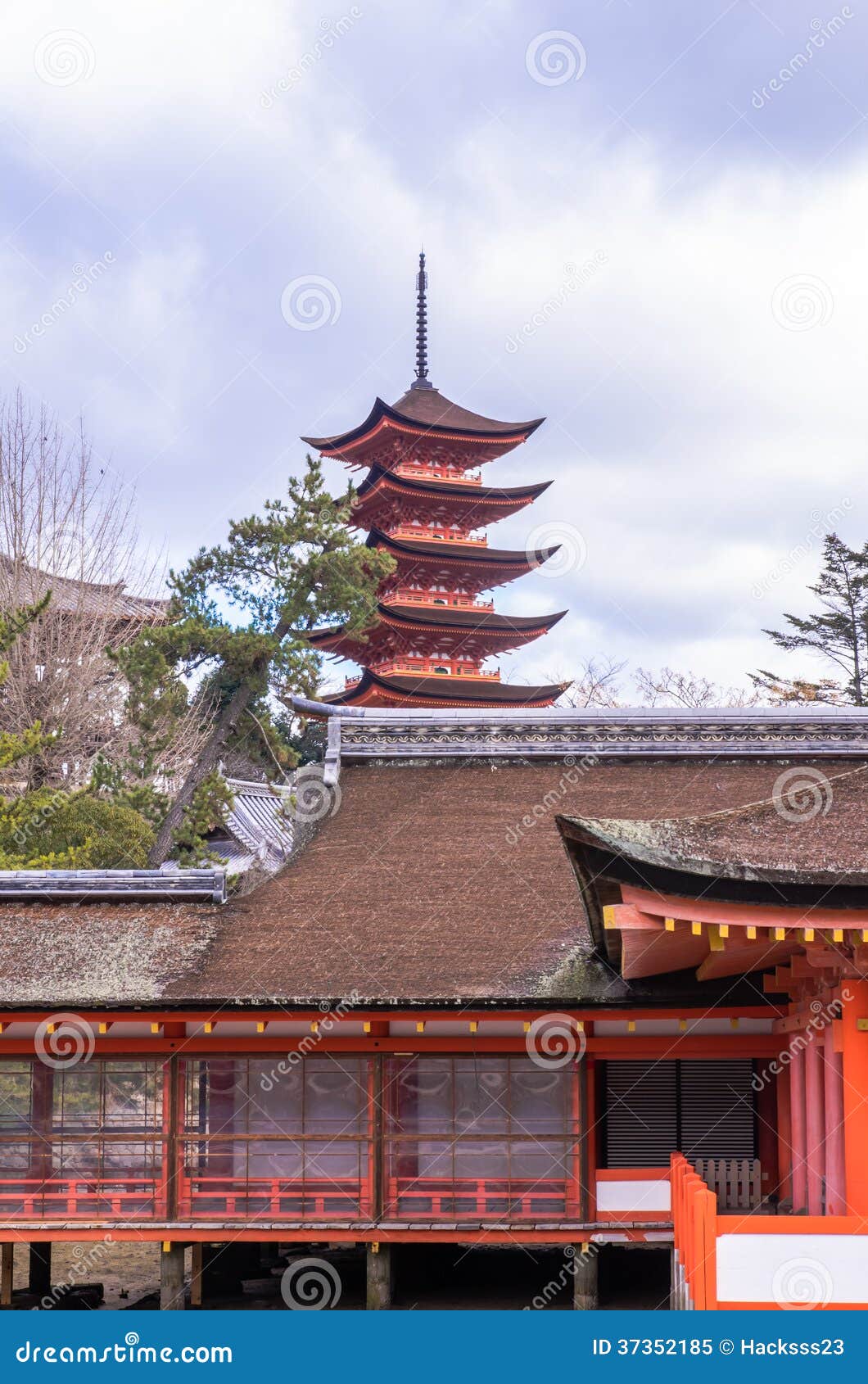 旅游看浮动torii门和在宫岛海岛祈祷严岛神社 图库摄影片. 图片 包括有 镇痛药, 地标, 发芽, 红色 - 147632897