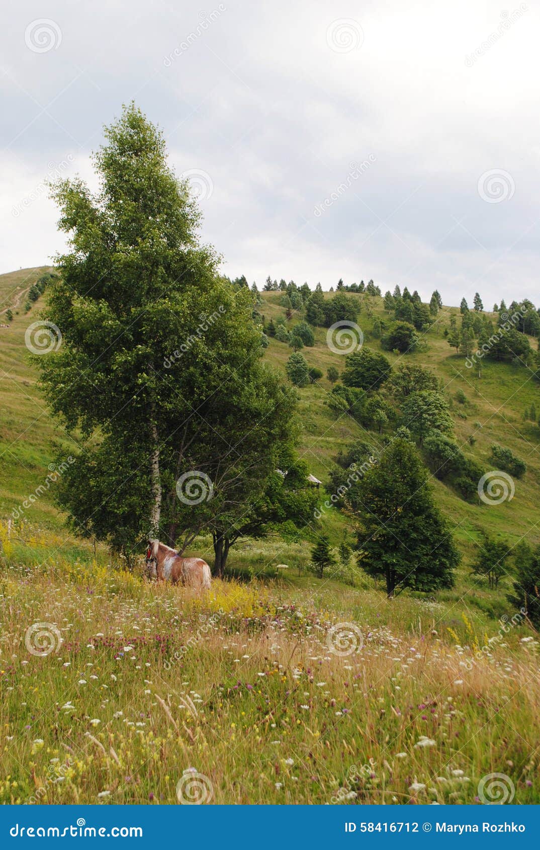 乌克兰风景图片素材-编号28225027-图行天下
