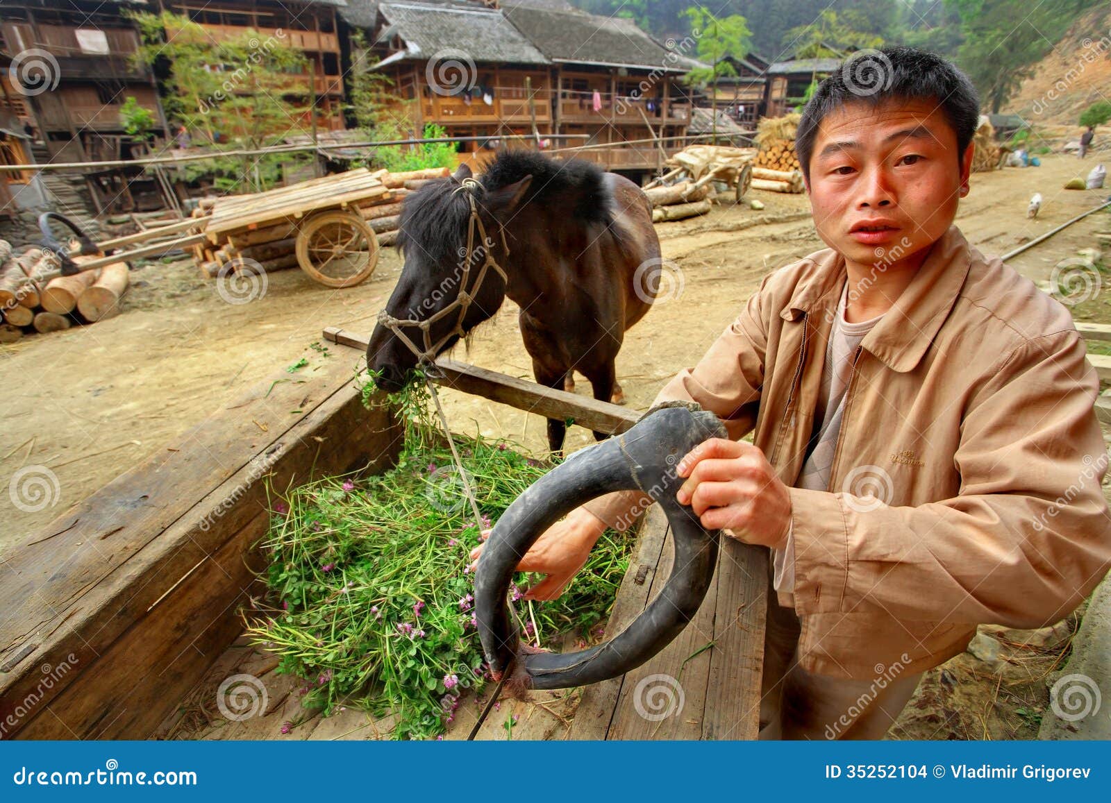 亚洲村庄，农村中国农民农夫拿着马彻尔. Zengchong村庄，贵州，中国- 2010年4月12日：农村中国农民农夫拿着一个马衣领，他的马吃新鲜的三叶草说谎在推车， 2010年4月12日的一一抱。Zengchong东少数族裔村庄，贵州，西南中国，东南亚，乡下。