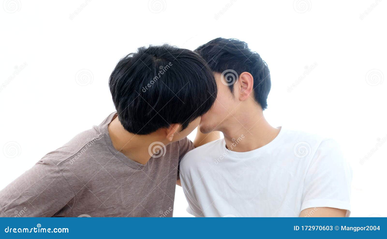 年轻而帅气的亚洲男性同性恋、双性恋和变性者 库存照片. 图片 包括有 权利, 愉快, 系列, 和平, 家庭 - 213506472
