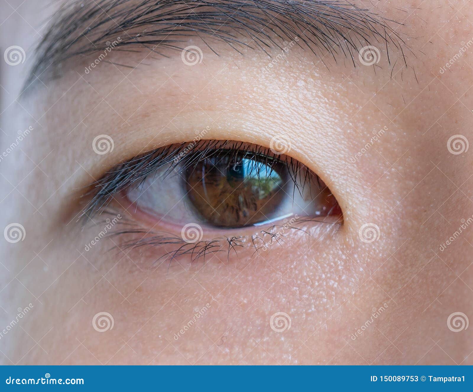 一位女士眼睛特写黑色的睫毛明亮的眼睛褐色的眼珠