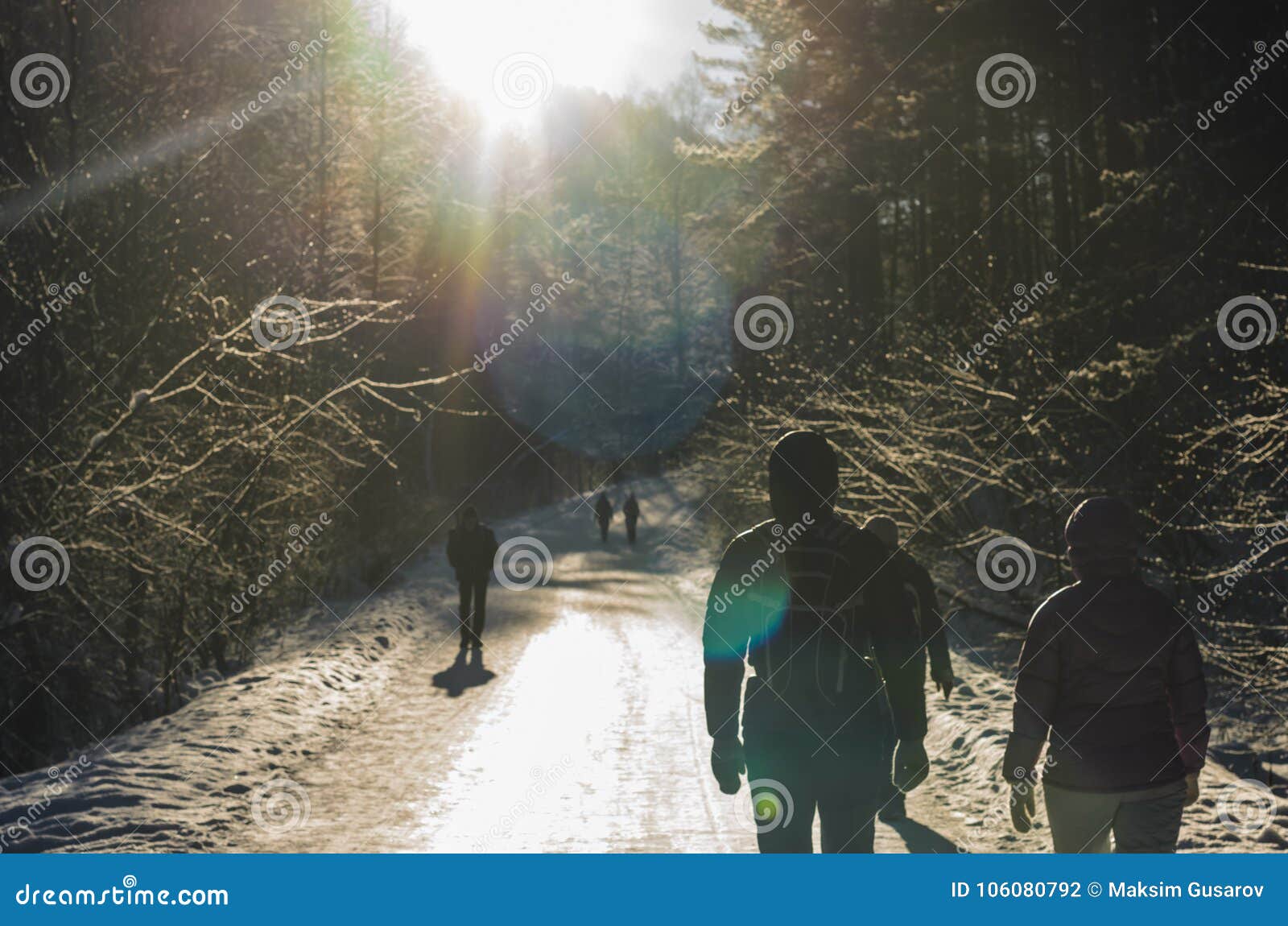 一个人在冬天的公园里骑自行车照片摄影图片_ID:349501203-Veer图库