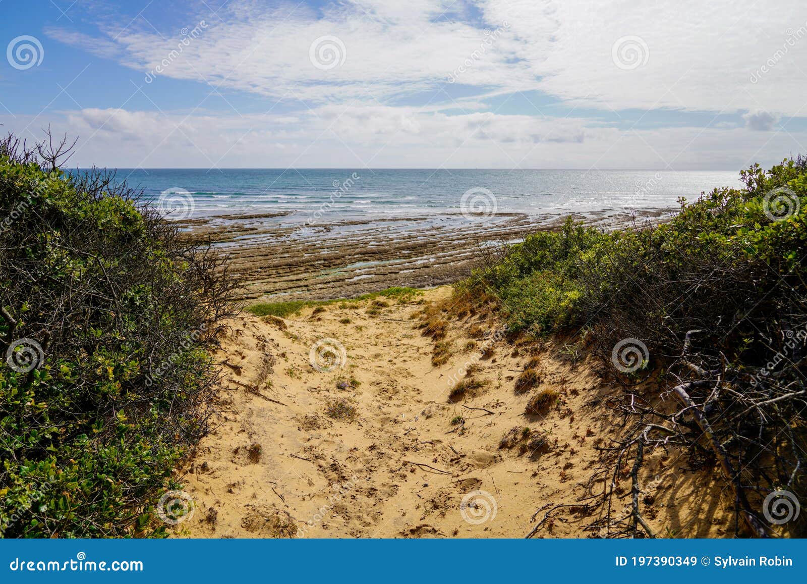 2022西乐索海滩游玩攻略,这片海滩是欧美和澳洲游客的...【去哪儿攻略】
