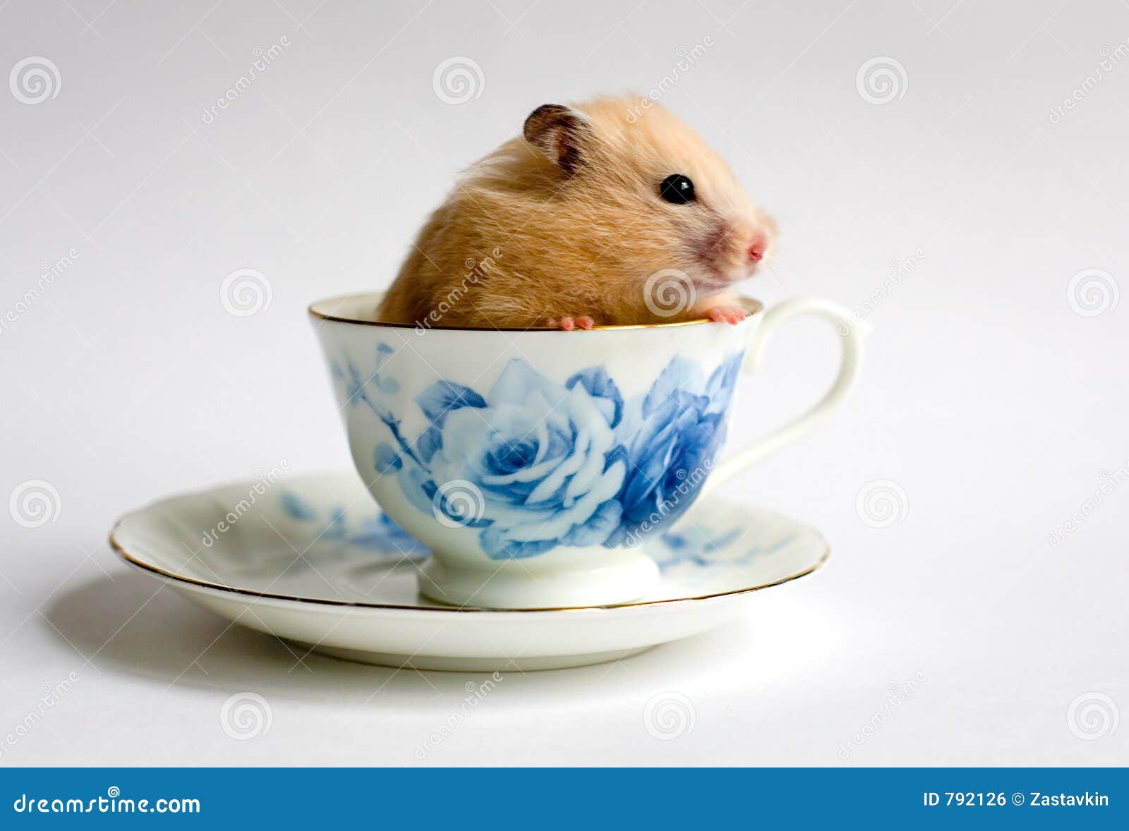 创意新款卡通独角兽陶瓷杯马克杯 新奇特3D动物手柄水杯咖啡杯子-阿里巴巴