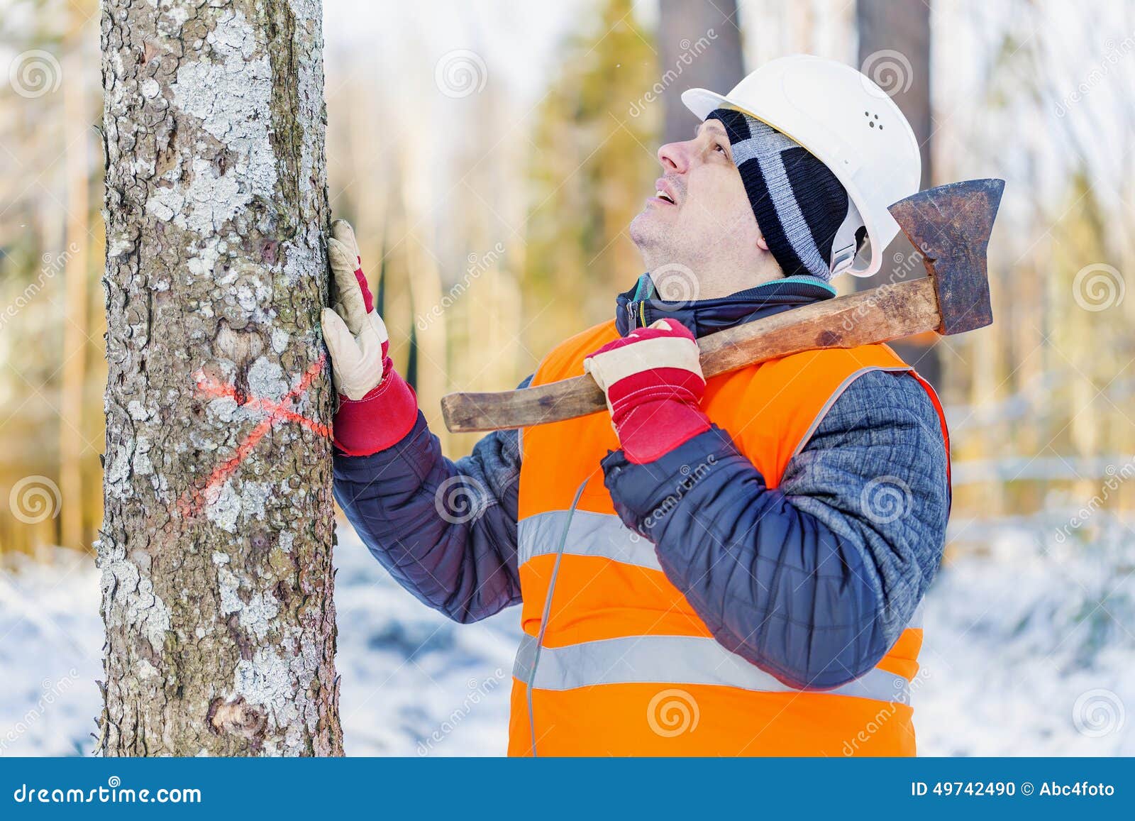 严肃的伐木工人穿着格子衬衫，戴着帽子，正在用斧头砍一棵大树照片摄影图片_ID:162550305-Veer图库