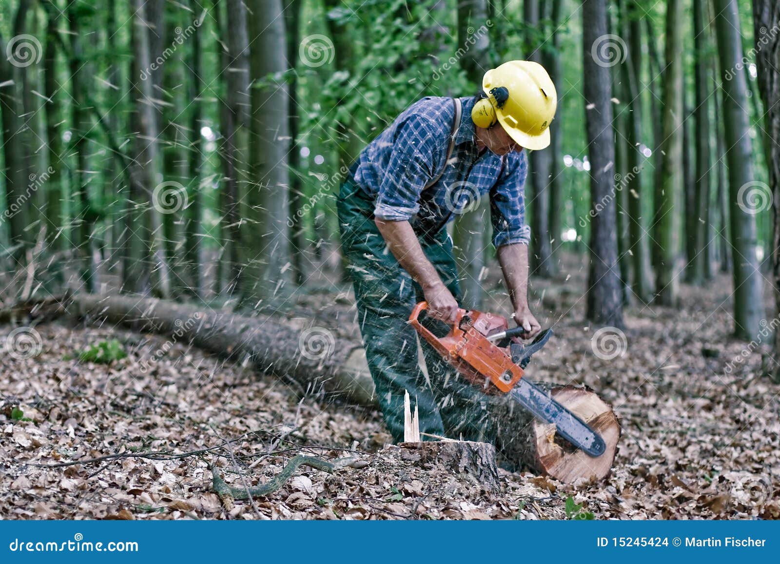 伐木工人在树附近的森林里与轴 库存照片. 图片 包括有 工具, 电话, 男性, 男人, 室外, 木头, 暂挂 - 49742490