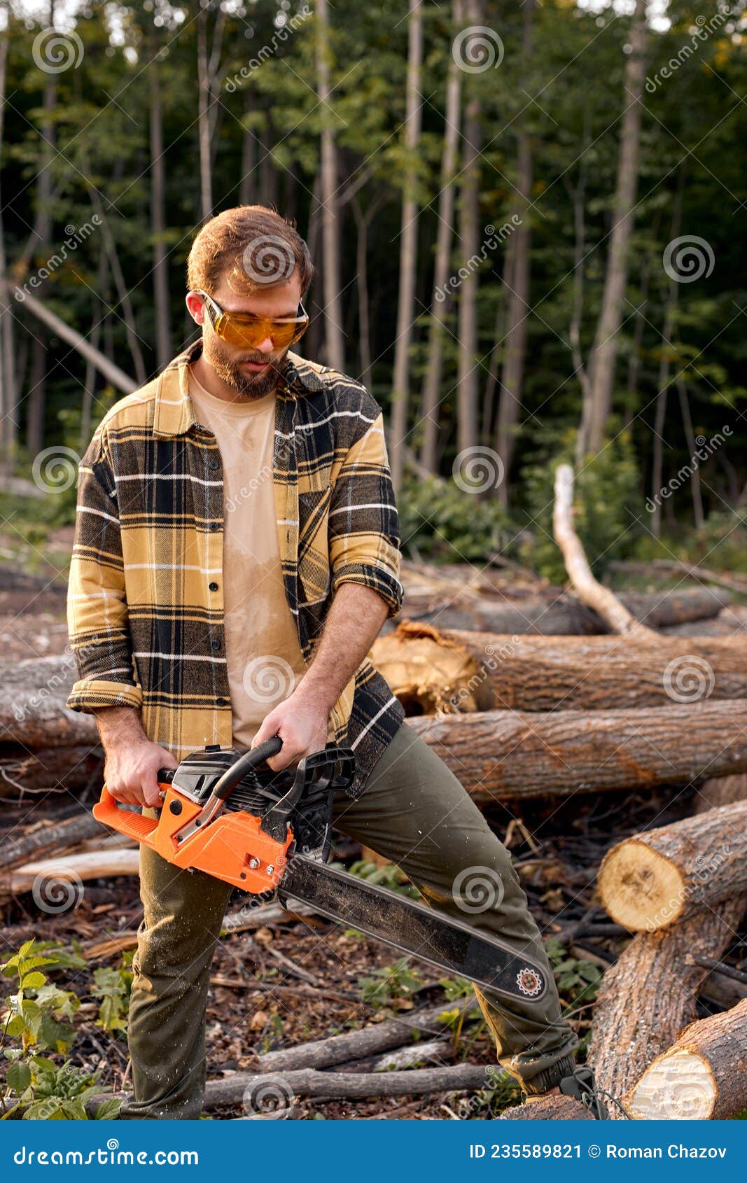 行动的老练的女性伐木工人 库存图片. 图片 包括有 本质, 证券, 安全性, 严格, 木料, 柏油的, 挑运 - 132782471