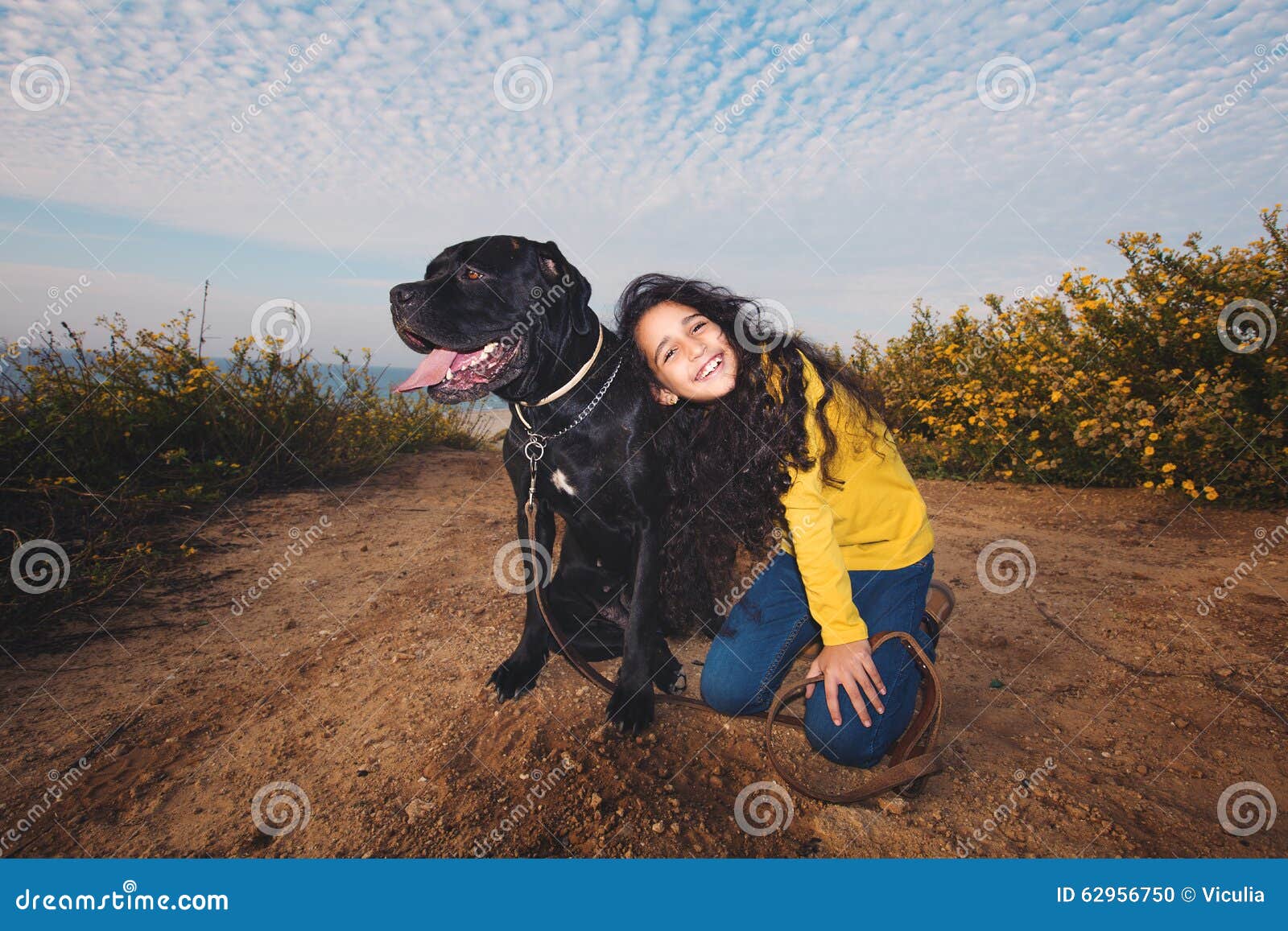 放松在与她的爱犬的床上的年轻夫妇 库存图片. 图片 包括有 丈夫, 敌意, 早晨, 夫妇, 白种人, 人们 - 54599539