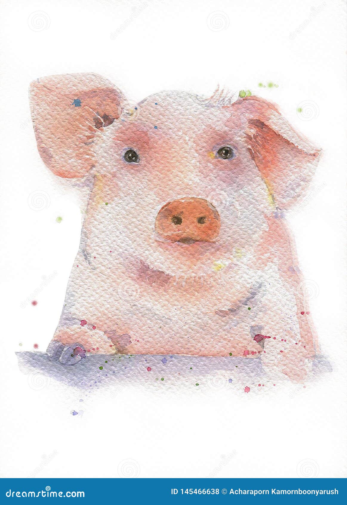 vb：一颗凌乱的猪头 - 堆糖，美图壁纸兴趣社区