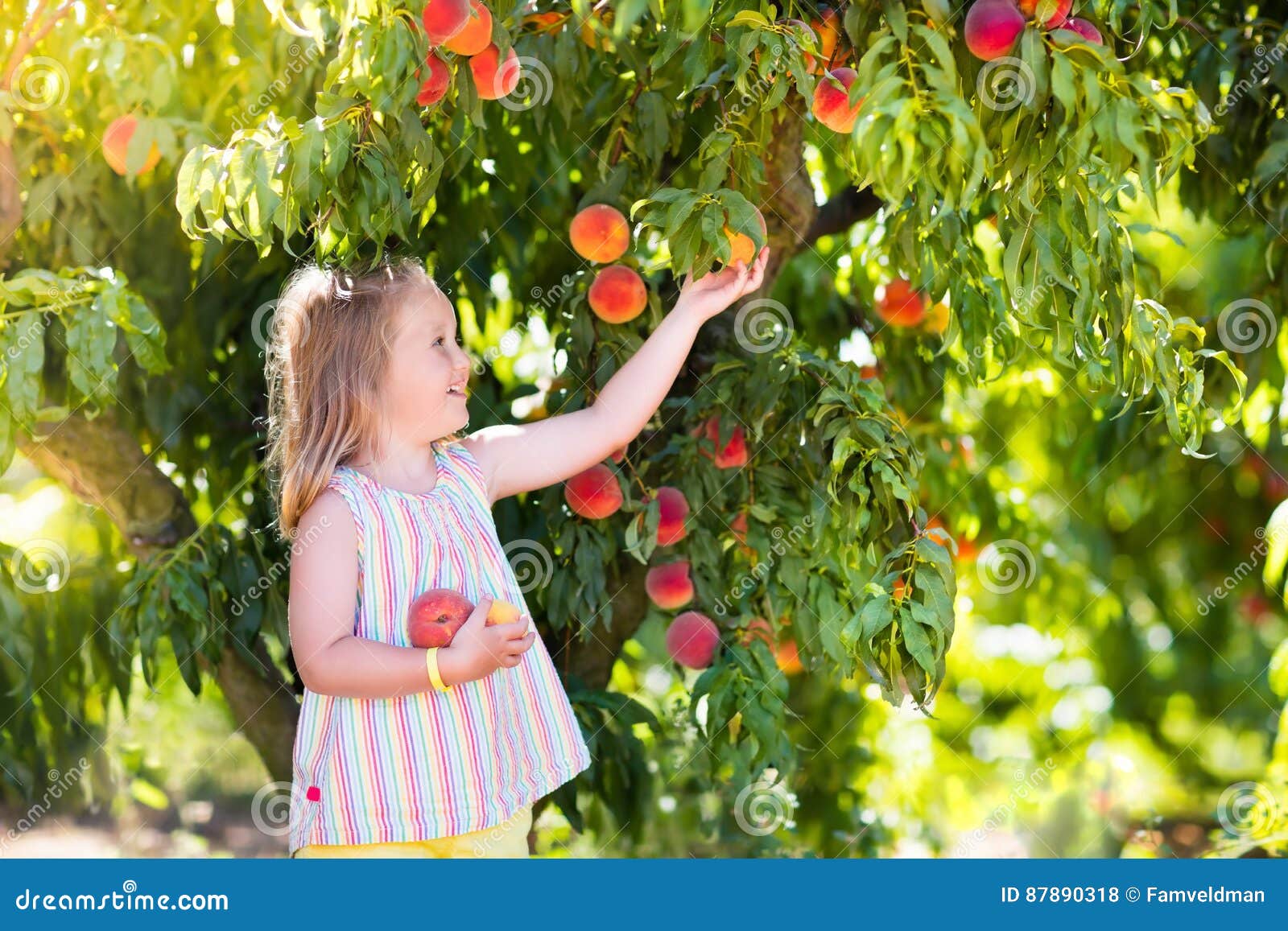 这个夏天，来一口桃子味的满足，快收下这份吃桃攻略吧→