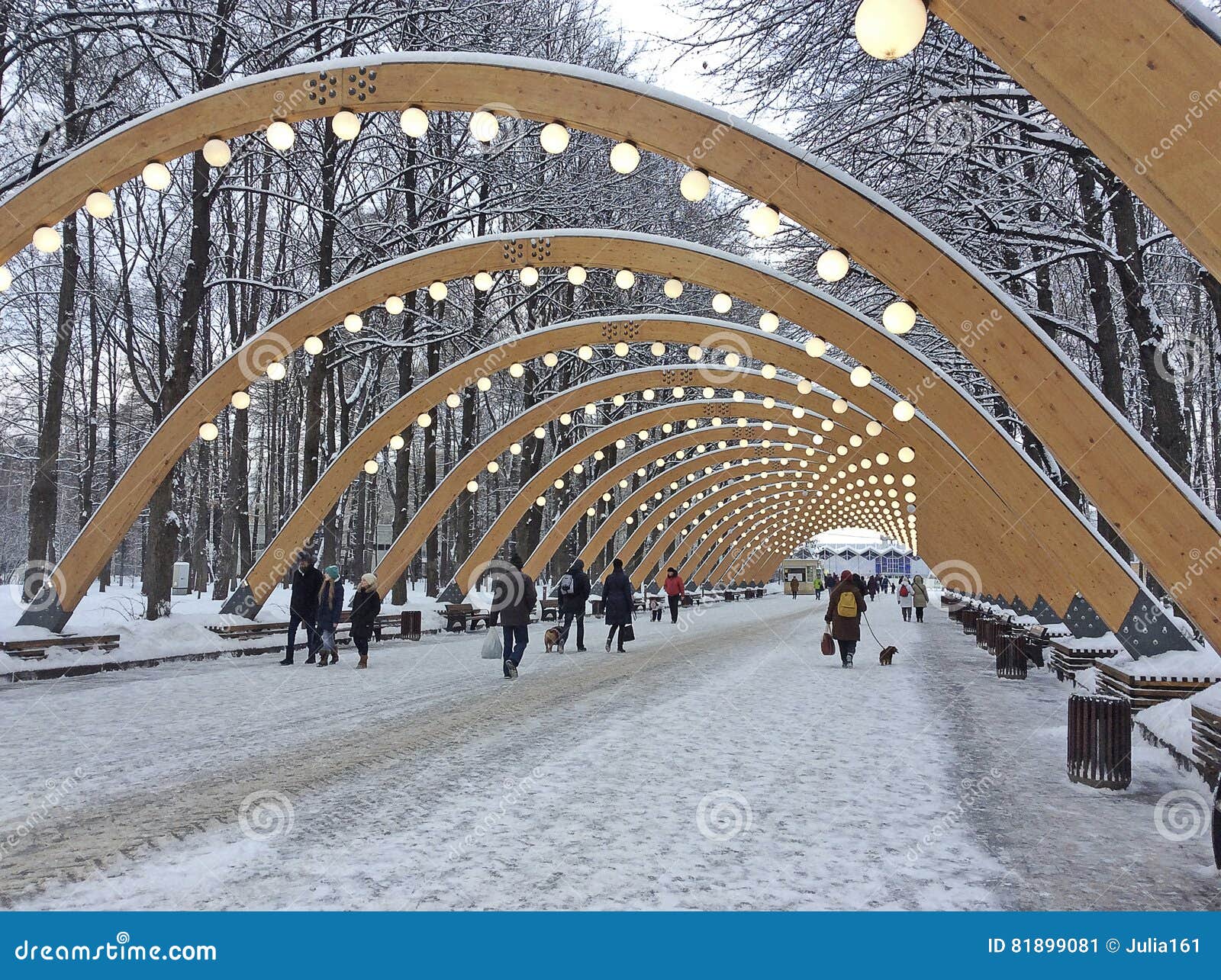 冬天在Sokolniki公园，莫斯科. Sokolniki公园在莫斯科在冬天 俄罗斯， 2016年12月