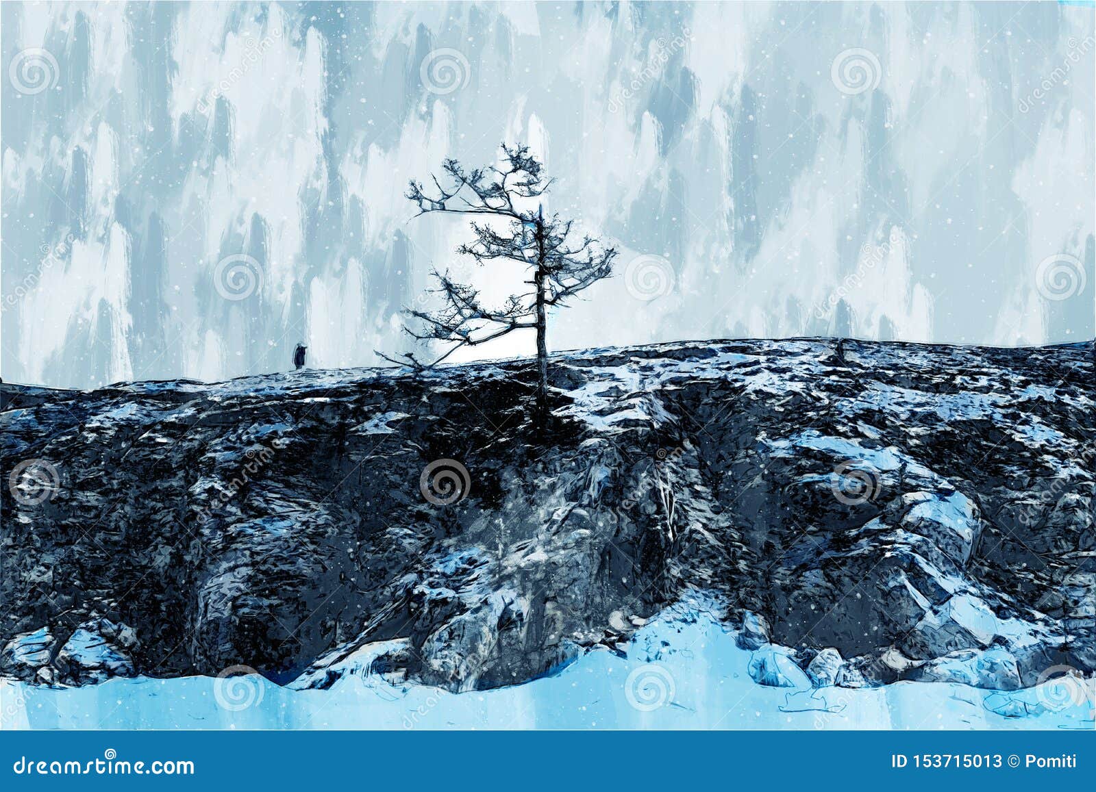 壁纸 海岸岩石悬崖上的树 2560x1600 HD 高清壁纸, 图片, 照片