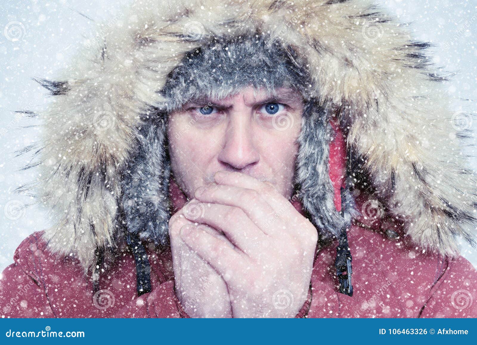 图集：告别冬天，用这份最“冻人”明信片