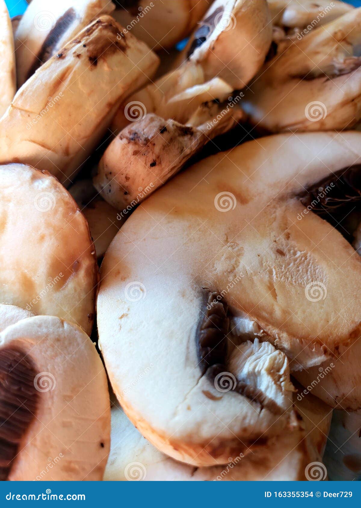 切片油煎的蘑菇 库存照片. 图片 包括有 颜色, 油煎, 烹调, 黄色, 空白, 温度, 成份, 蘑菇, 关闭 - 55733260