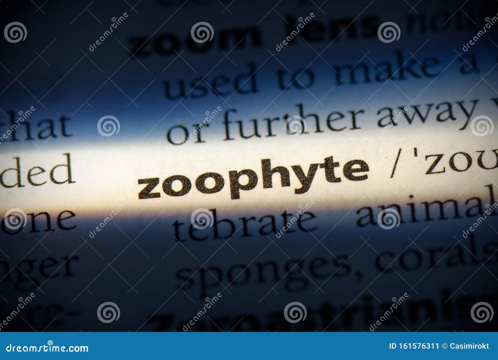 Zoophyte 库存图片. 图片 包括有 英语, 关闭, 纸张, 详细资料, 重点, 特写镜头, 宏指令 161576311