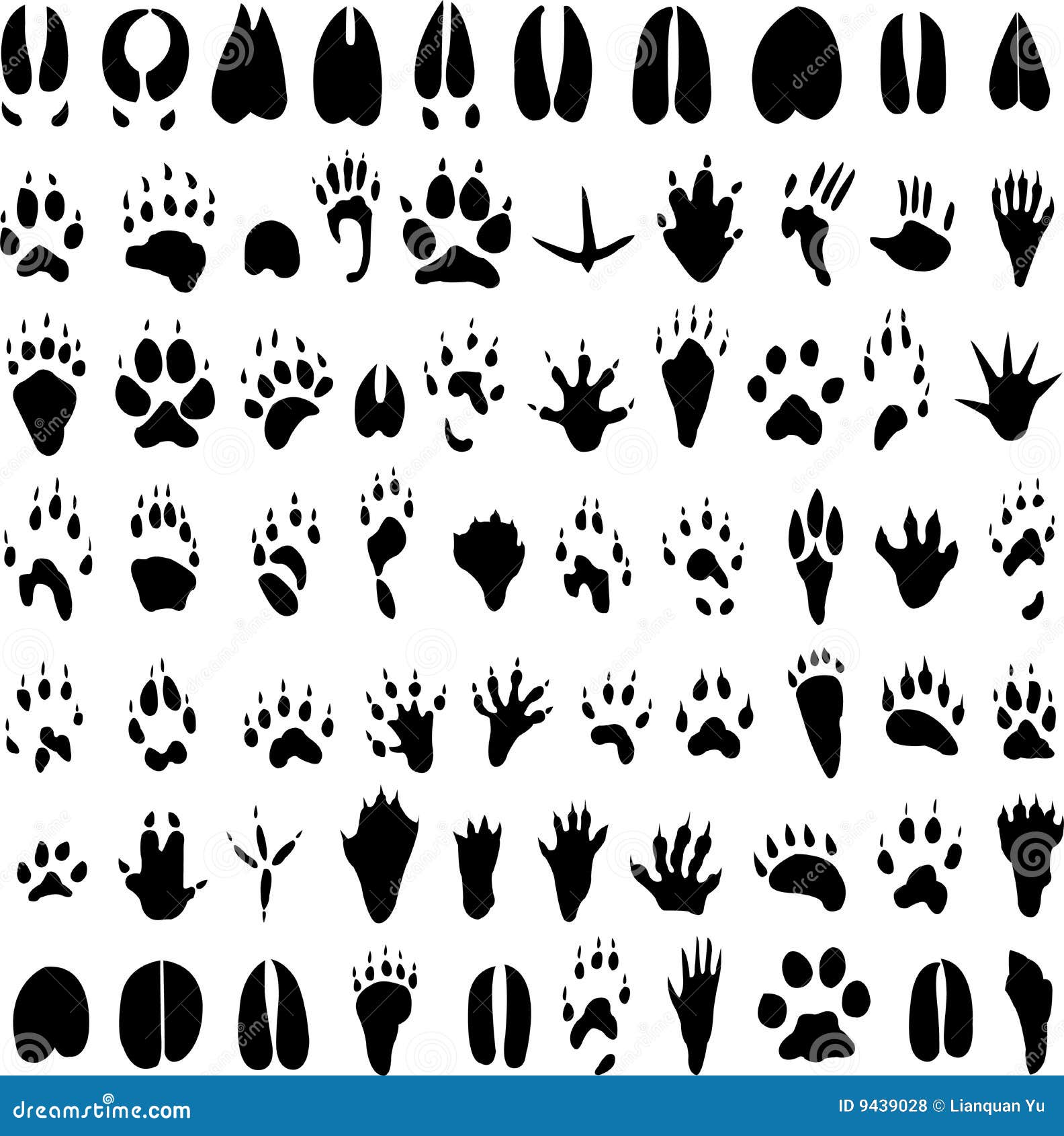 黑色动物足迹图标。动物的脚轮廓。矢量插图。股票的形象。插画图片素材_ID:423841219-Veer图库