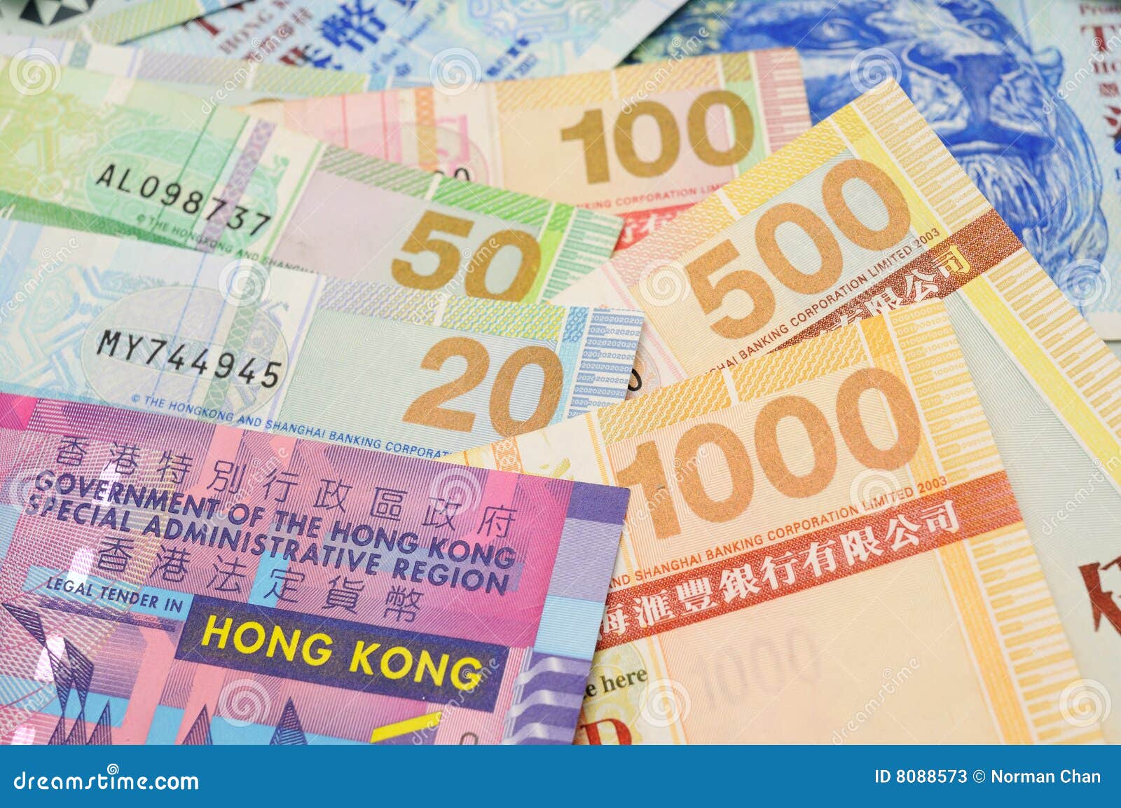 发单特写镜头美元香港. 银行接近的美元香港注意