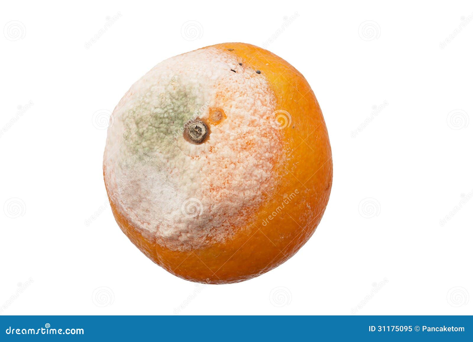 长了霉的老柠檬。真菌破坏老柑橘水果，食物浪费卡通矢量图标。柠檬衰变插图。插画图片素材_ID:412212478-Veer图库