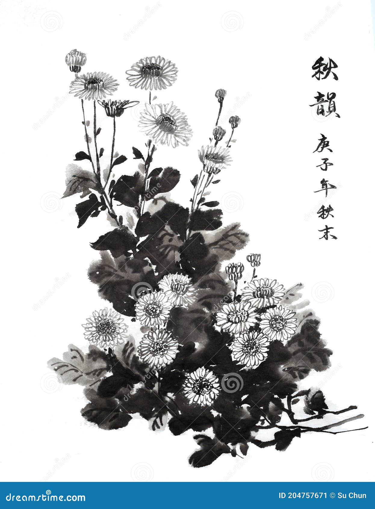 古代中国传统手刷和水墨画菊花: 吉祥花库存图片. 图片包括有节日