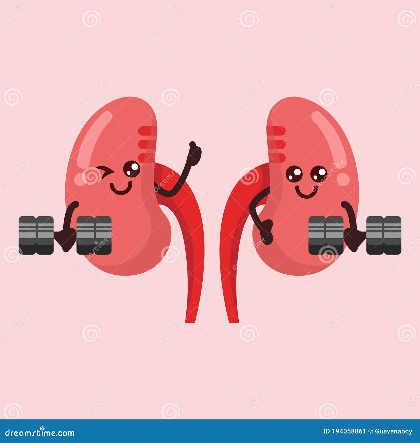 可爱的卡通微笑健康的肾角色 人泌尿生殖系统内脏矢量图 向量例证. 插画 包括有 背包, 滑稽, 医院, 传记 - 165180082