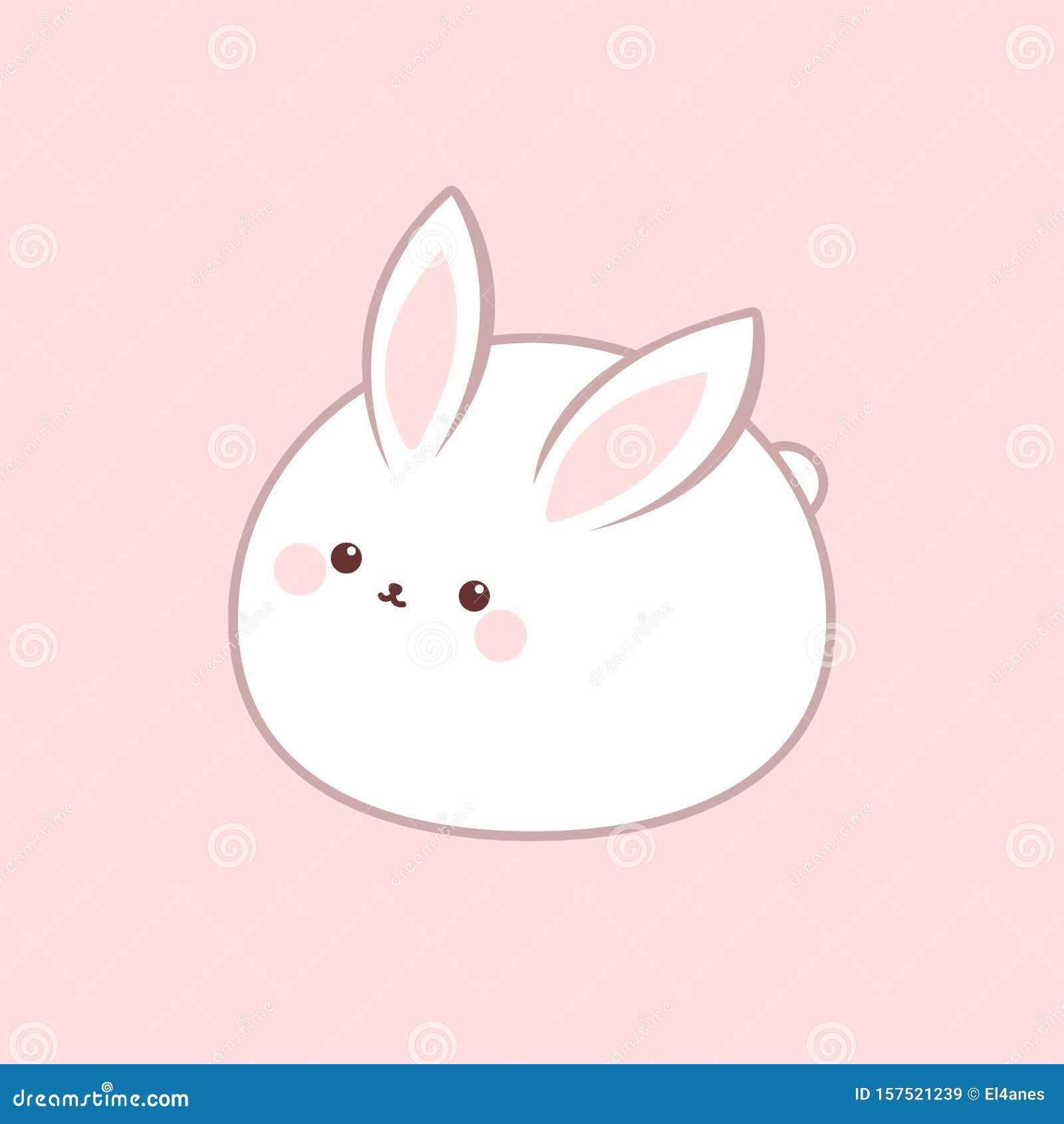 可爱的胖宠物兔子图片_蛙客网viwik.com