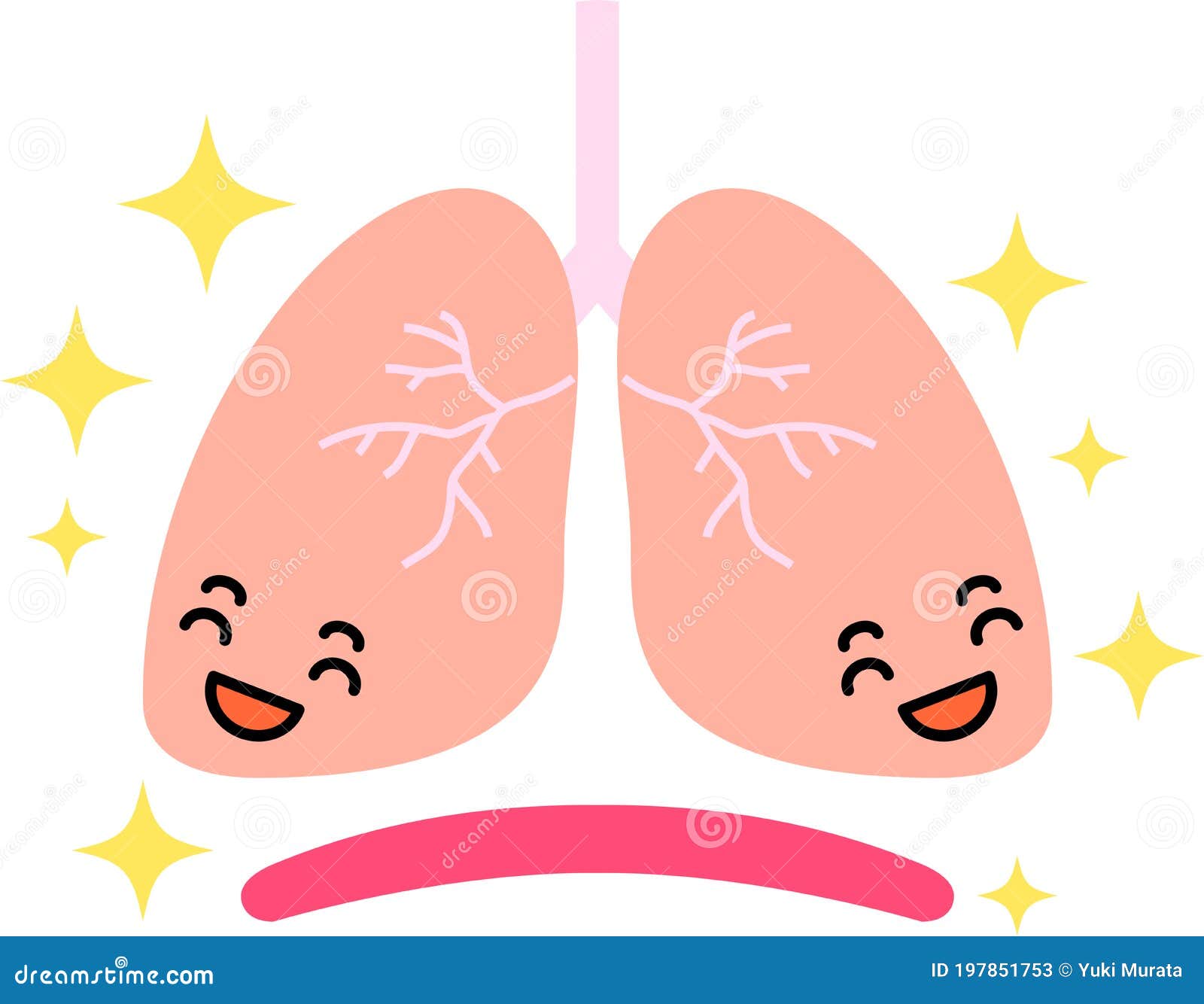 肺png圖案素材 | PNG和向量圖 | 透明背景圖片 | 免費下载 - Pngtree