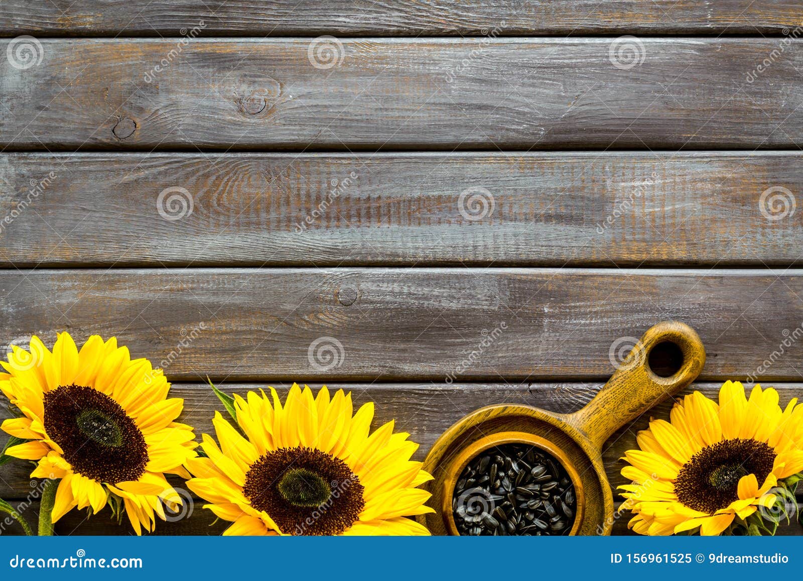 å ‘æ—¥è‘µåœ¨æœ¨åˆ¶èƒŒæ™¯é¡¶è§†å›¾ä¸Šæœ‰ç±½æ¡†ã€‚èŠ±å ‰å›¾æ¡ˆã€‚ä¸€ç§ æœ