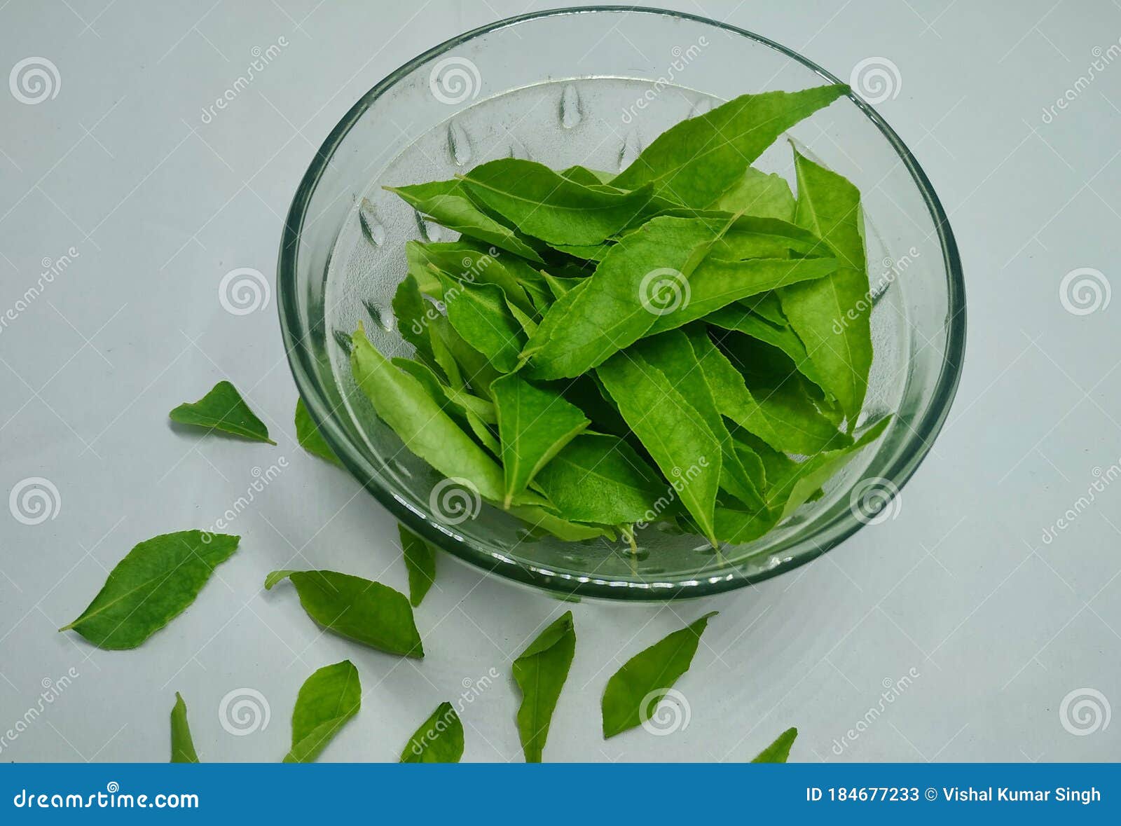 新/马草药自然医学: 咖哩葉的健康功效！Curry leaf health benefits.Khasiat daun kari.