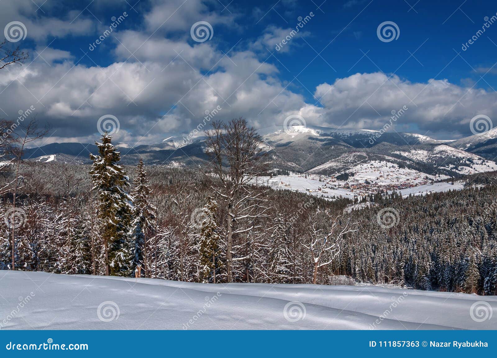 喀尔巴阡山脉的山顶视图 喀尔巴阡山脉的冬天风景在一个晴天