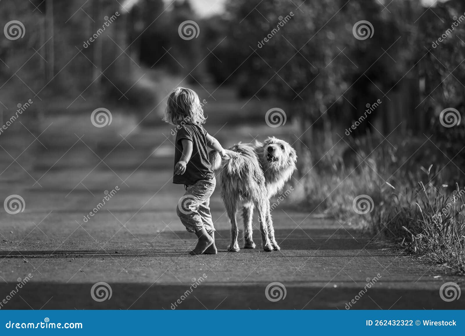 暖一下 儿童与狗|摄影|宠物摄影|dantephoto - 原创作品 - 站酷 (ZCOOL)