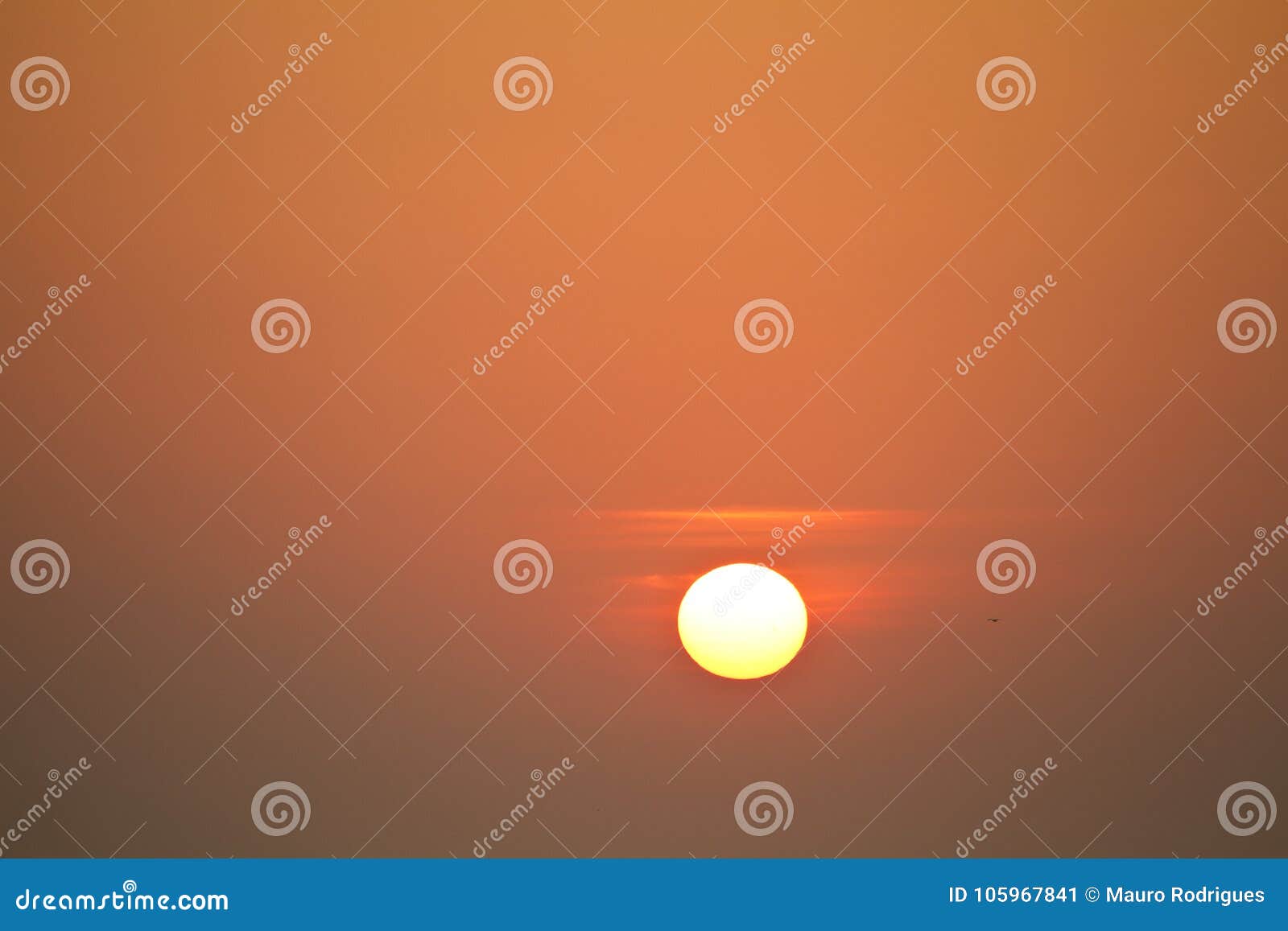 红色太阳矢量图图片素材-编号39934022-图行天下