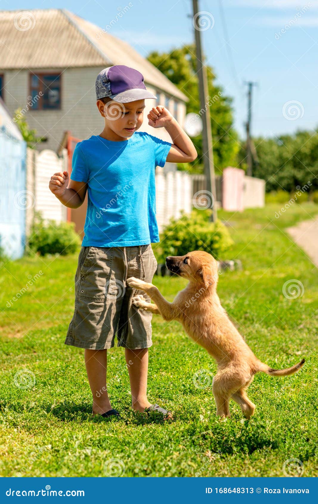 路灯下可爱的小男孩和小狗图片素材-编号22866293-图行天下