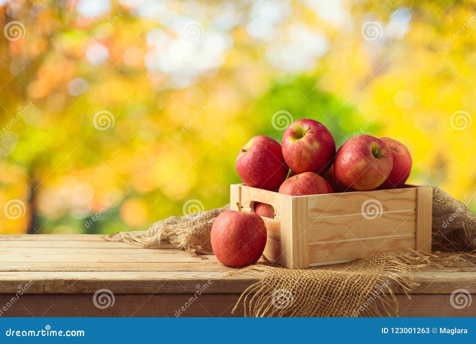 红色苹果 库存图片. 图片 包括有 素食主义者, 食物, 鲜美, 营养, 成熟, 颜色, 蔬菜, 生活方式 - 34090393