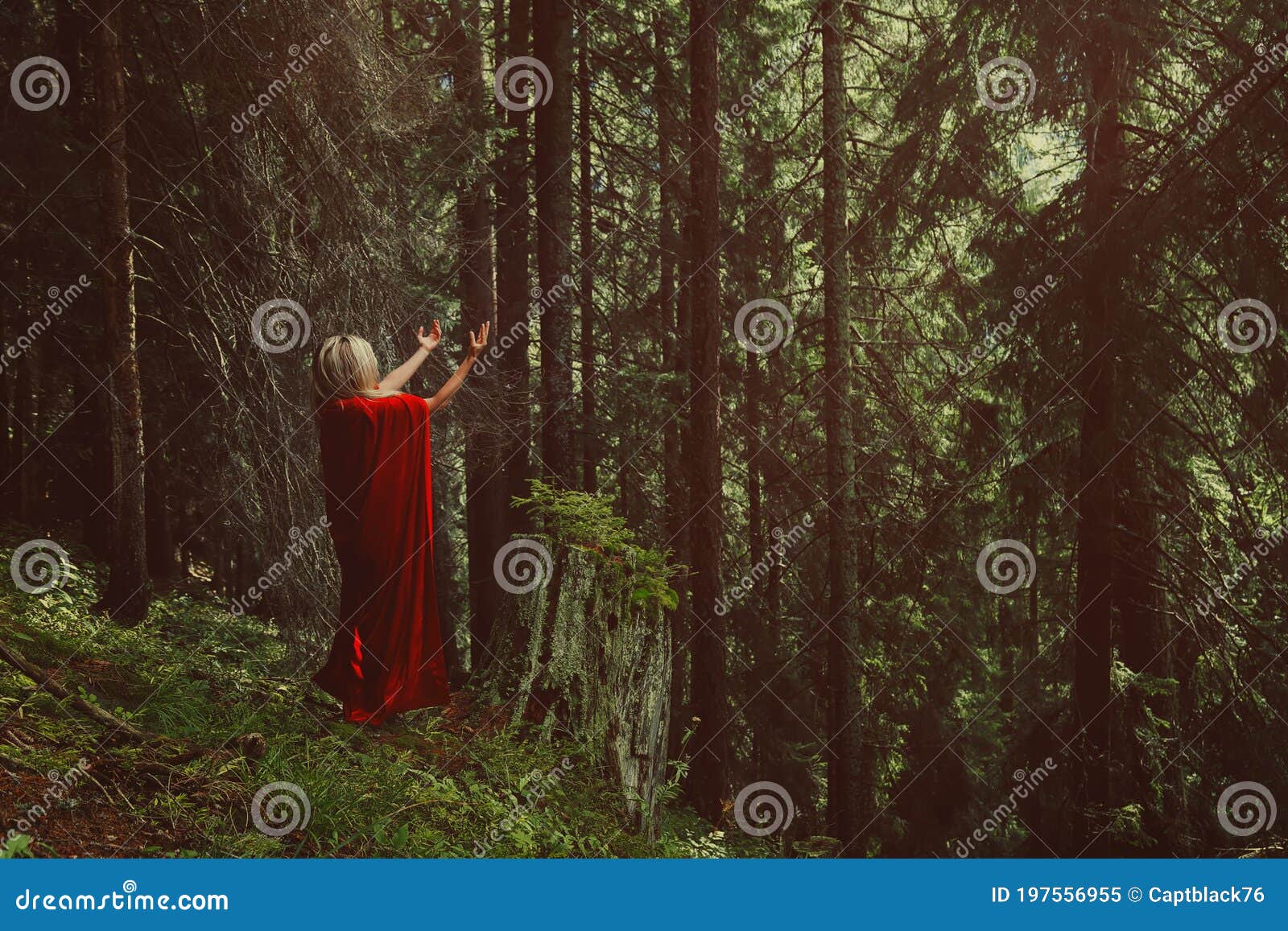吸血鬼袭击树林里的女人 库存图片. 图片 包括有 背包, 殷勤地, 褂子, 的闪烁, 万圣节, 礼服, 绿色 - 159976357