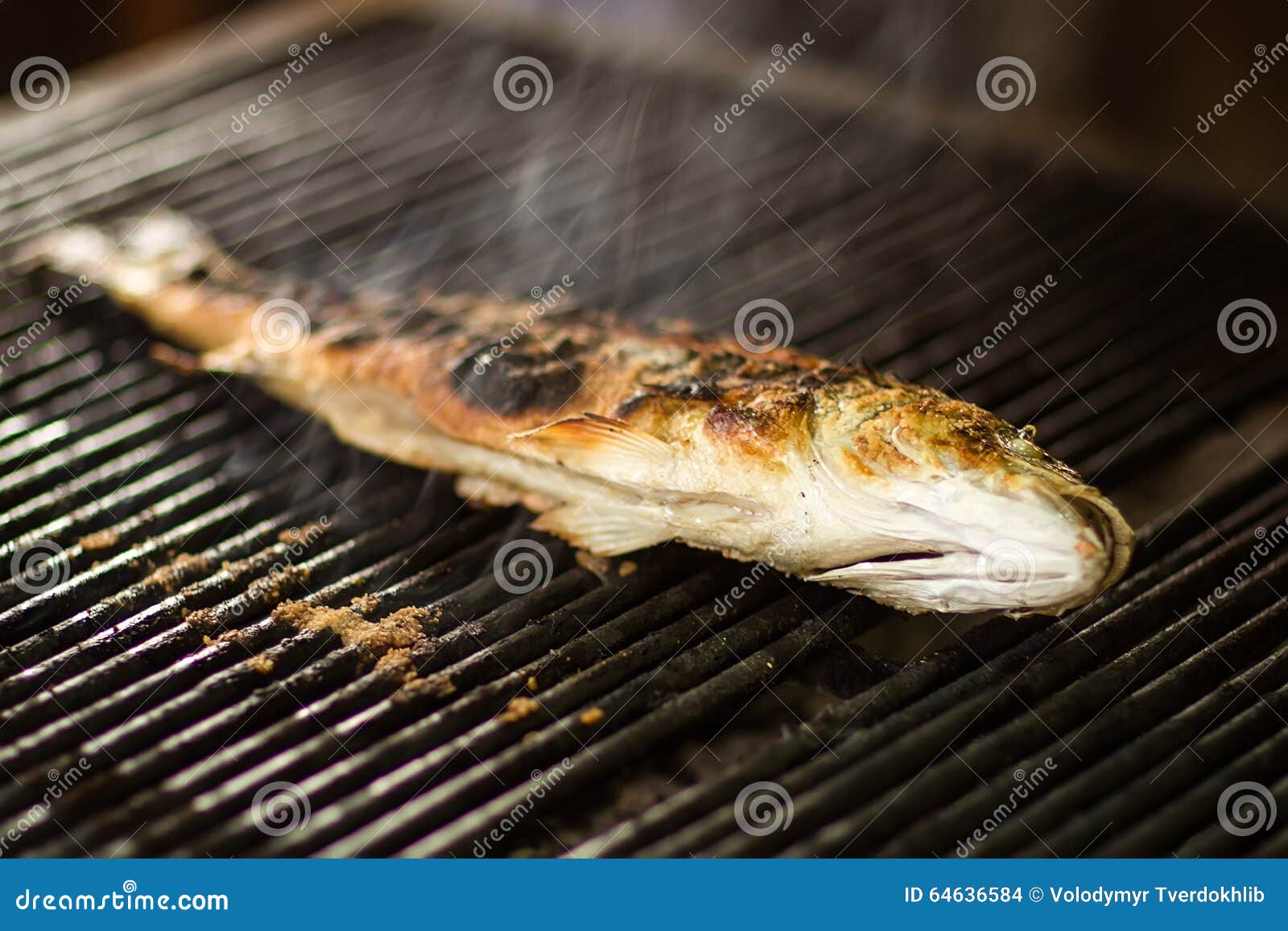在格栅的被烧的鱼 库存照片. 图片 包括有 新鲜, 扣杆, 特写镜头, 烧焦, 自然, 照片, 面包渣, 牌照 64636584